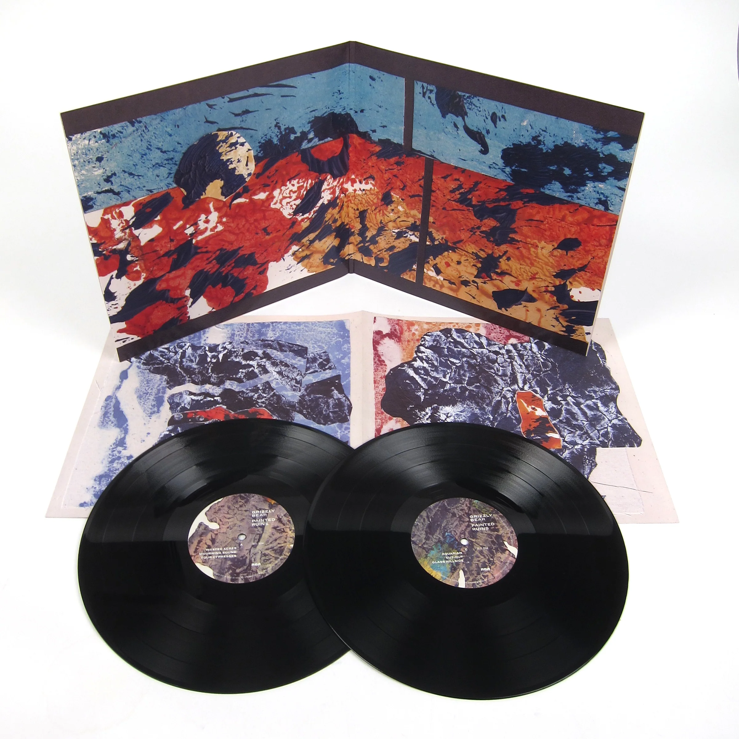 Grizzly Bear: Painted Ruins (180g) Vinyl 2LP - Image 2