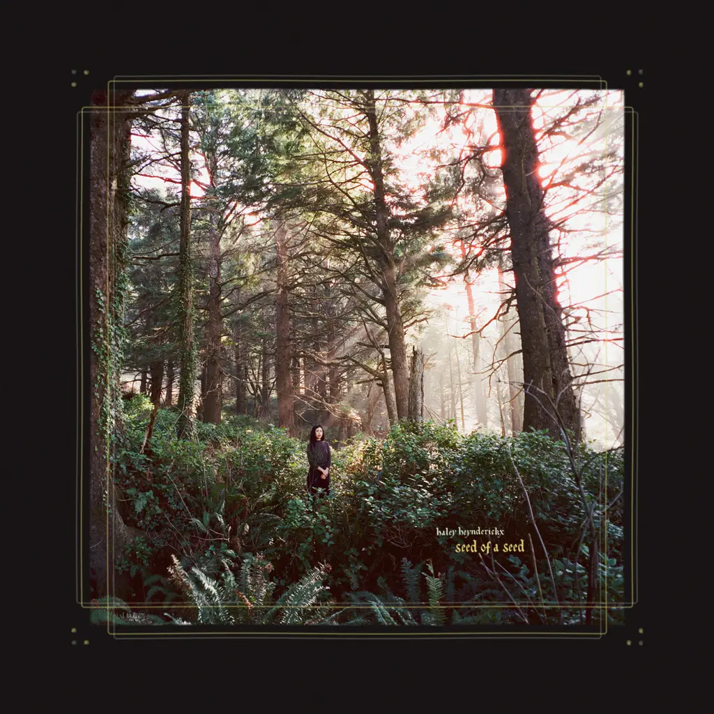 Haley Heynderickx: Seed Of A Seed (Indie Exclusive Colored Vinyl) Vinyl LP - Image 2