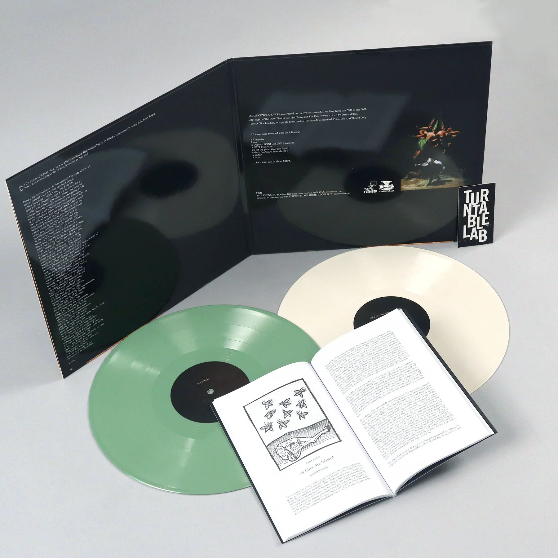 Have A Nice Life: Deathconsciousness (Colored Vinyl) Vinyl 2LP - Turntable Lab Exclusive - LIMIT 1 PER CUSTOMER - Image 2
