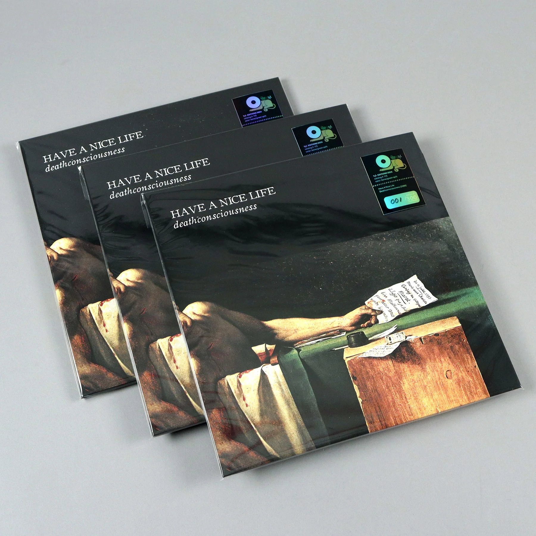 Have A Nice Life: Deathconsciousness (Colored Vinyl) Vinyl 2LP - Turntable Lab Exclusive - LIMIT 1 PER CUSTOMER - Image 7