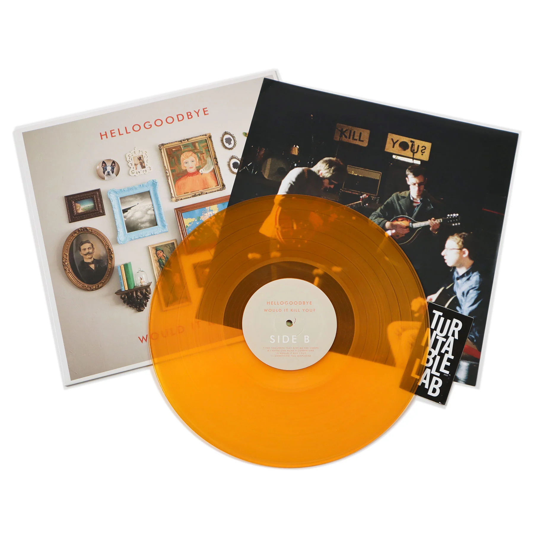 Hellogoodbye: Would It Kill You? (Gold Colored Vinyl) Vinyl LP - Image 2