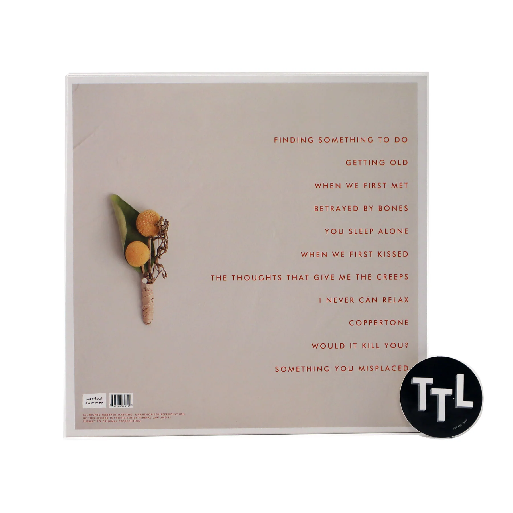 Hellogoodbye: Would It Kill You? (Gold Colored Vinyl) Vinyl LP - Image 3