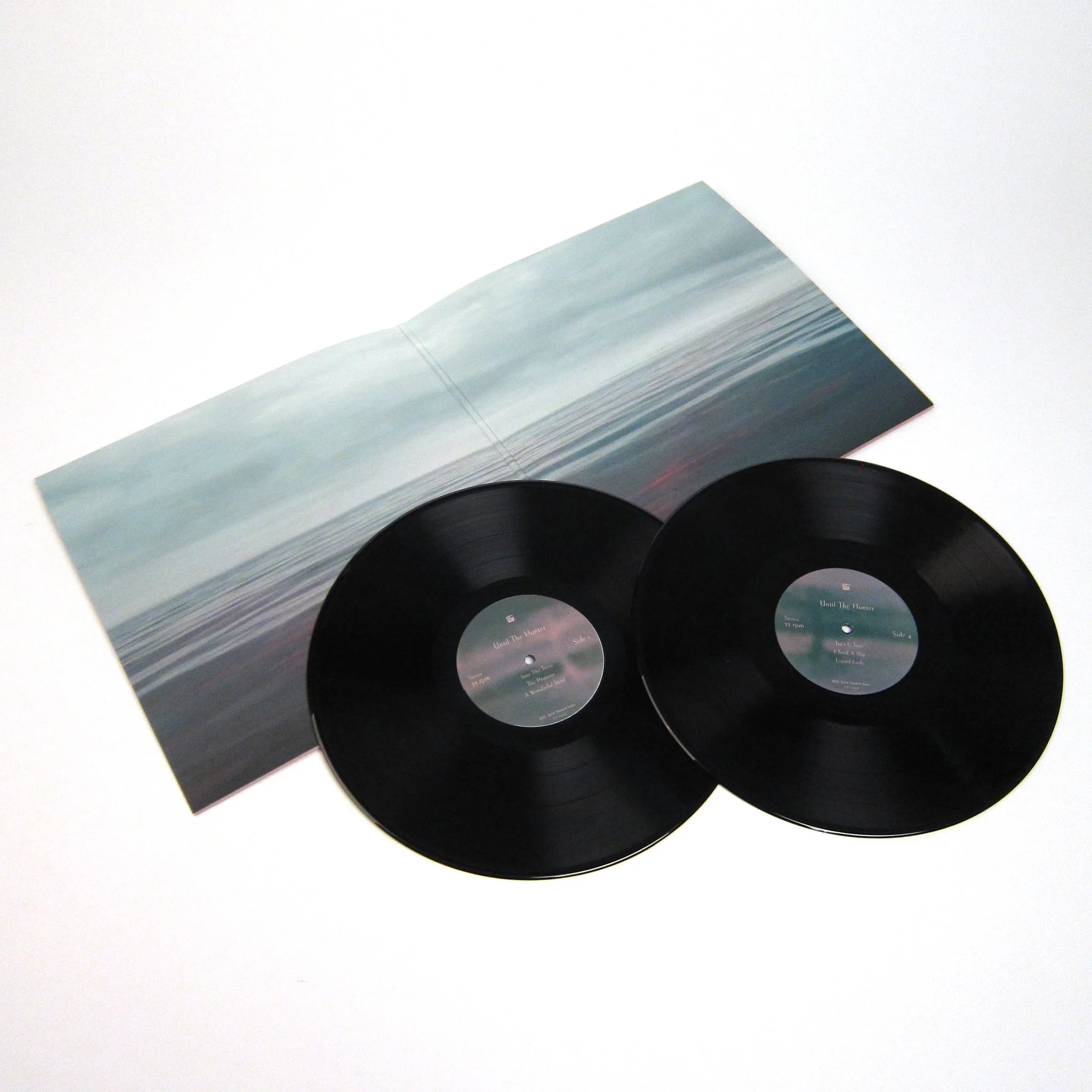 Hope Sandoval & The Warm Inventions: Until The Hunter Vinyl 2LP - Image 2