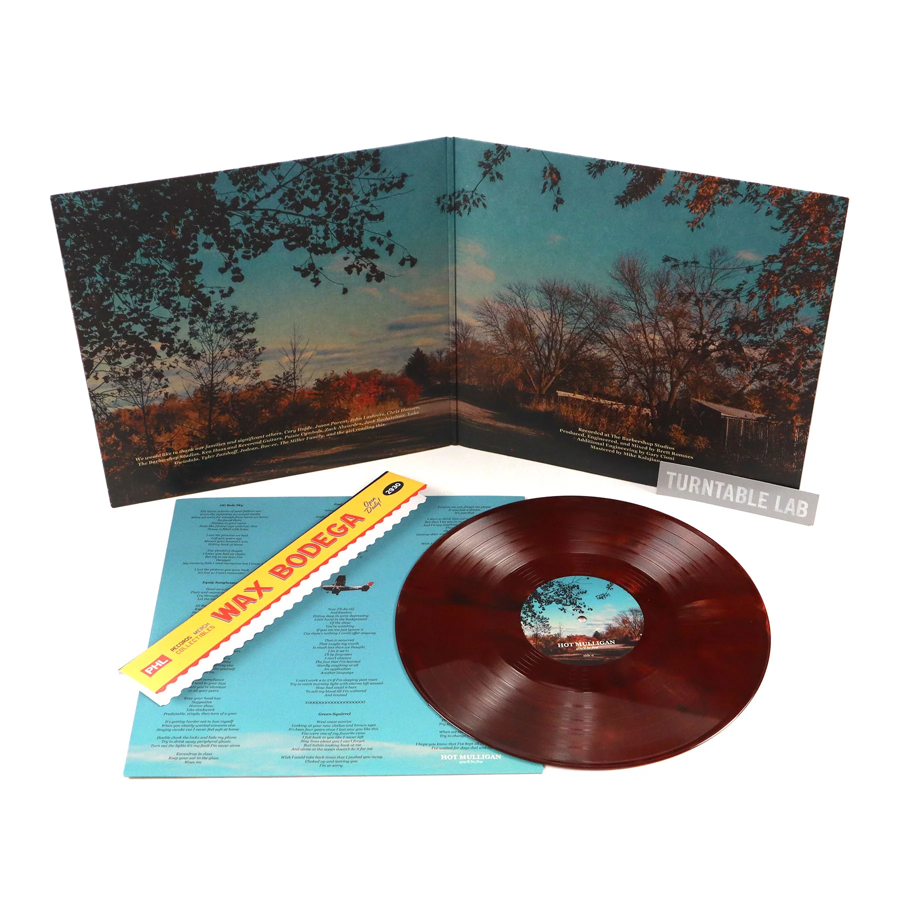 Hot Mulligan: You'll Be Fine (Colored Vinyl) Vinyl LP - Image 2