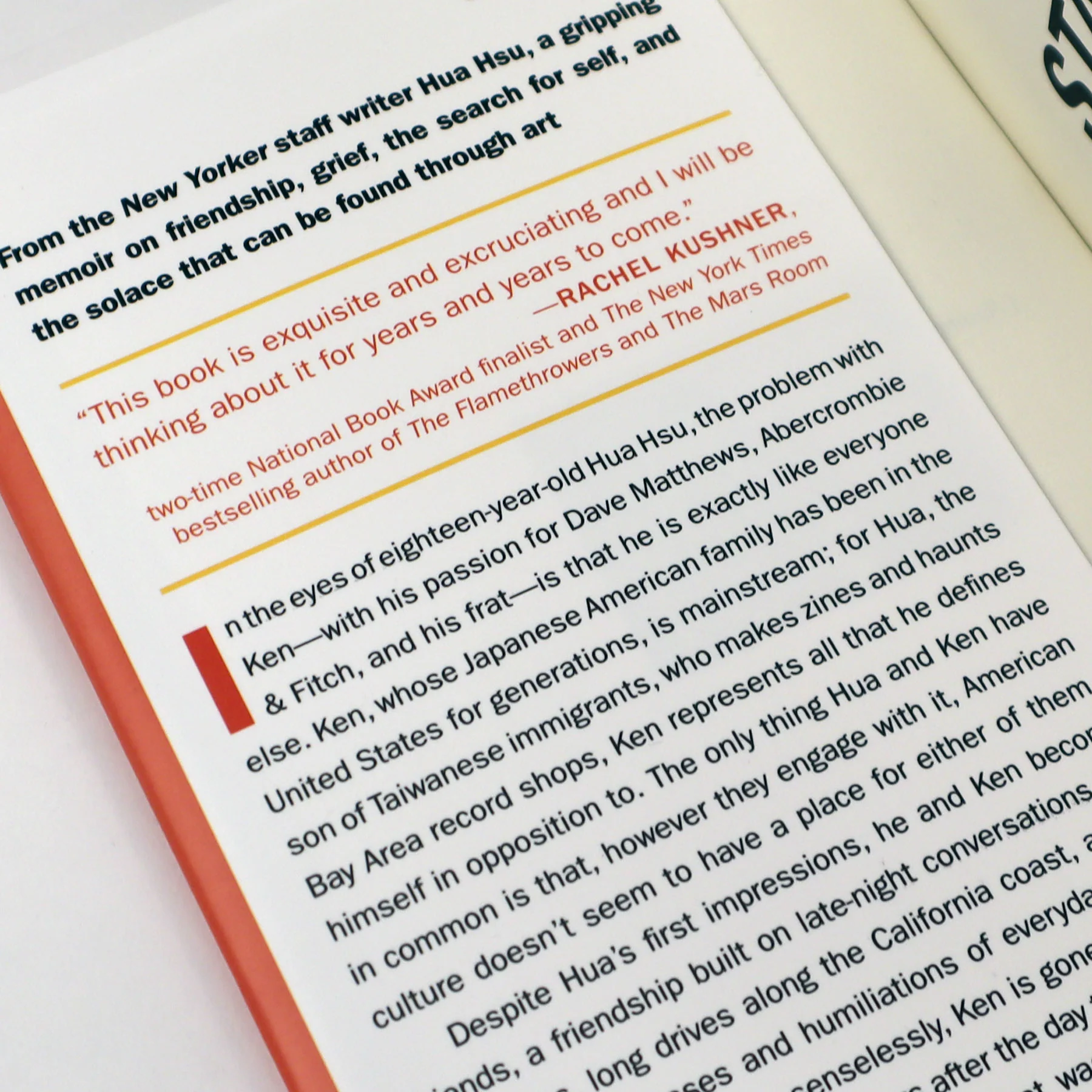 Hua Hsu: Stay True Book - Author Signed - Image 5
