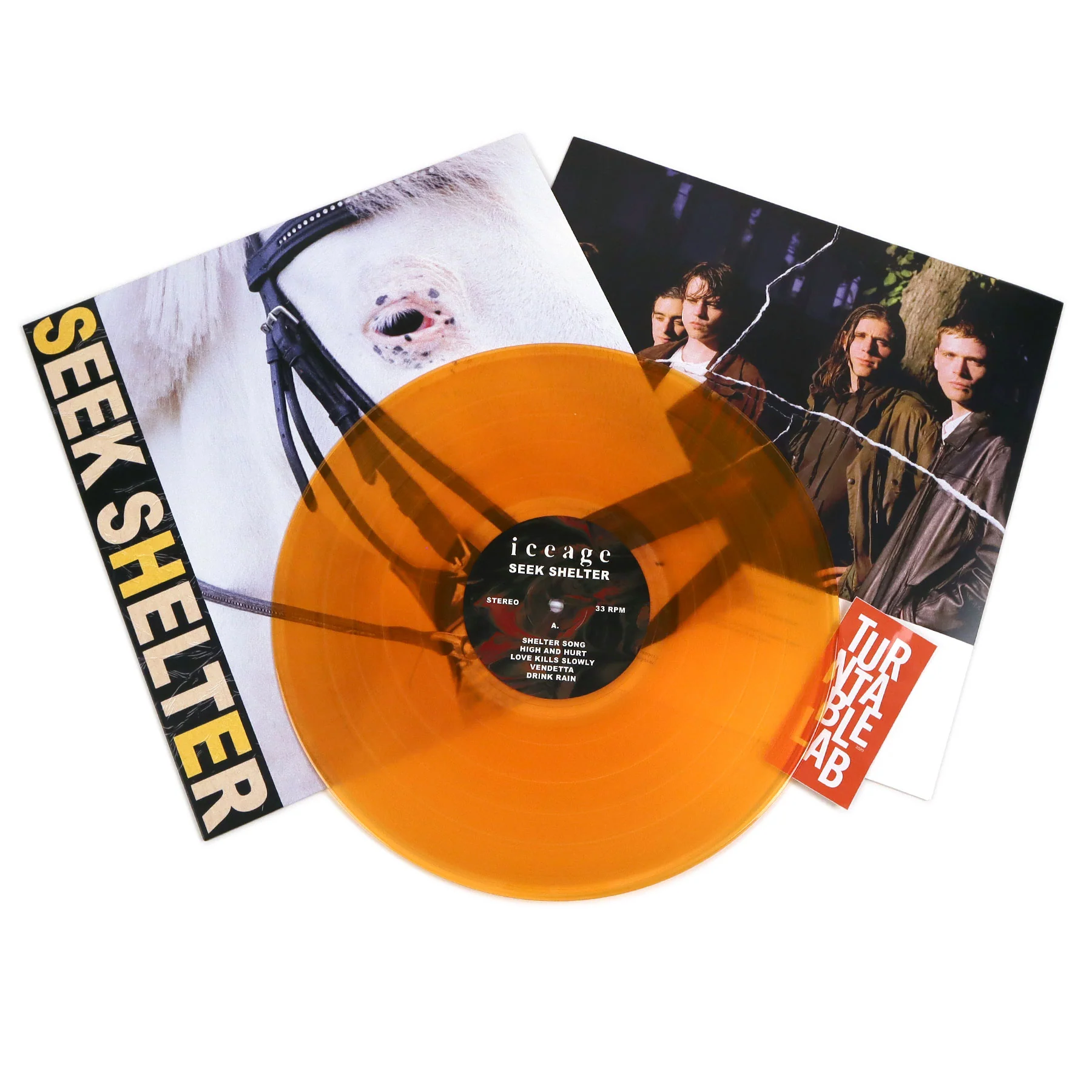 Iceage: Seek Shelter (Indie Exclusive Color Vinyl) Vinyl LP - Image 2
