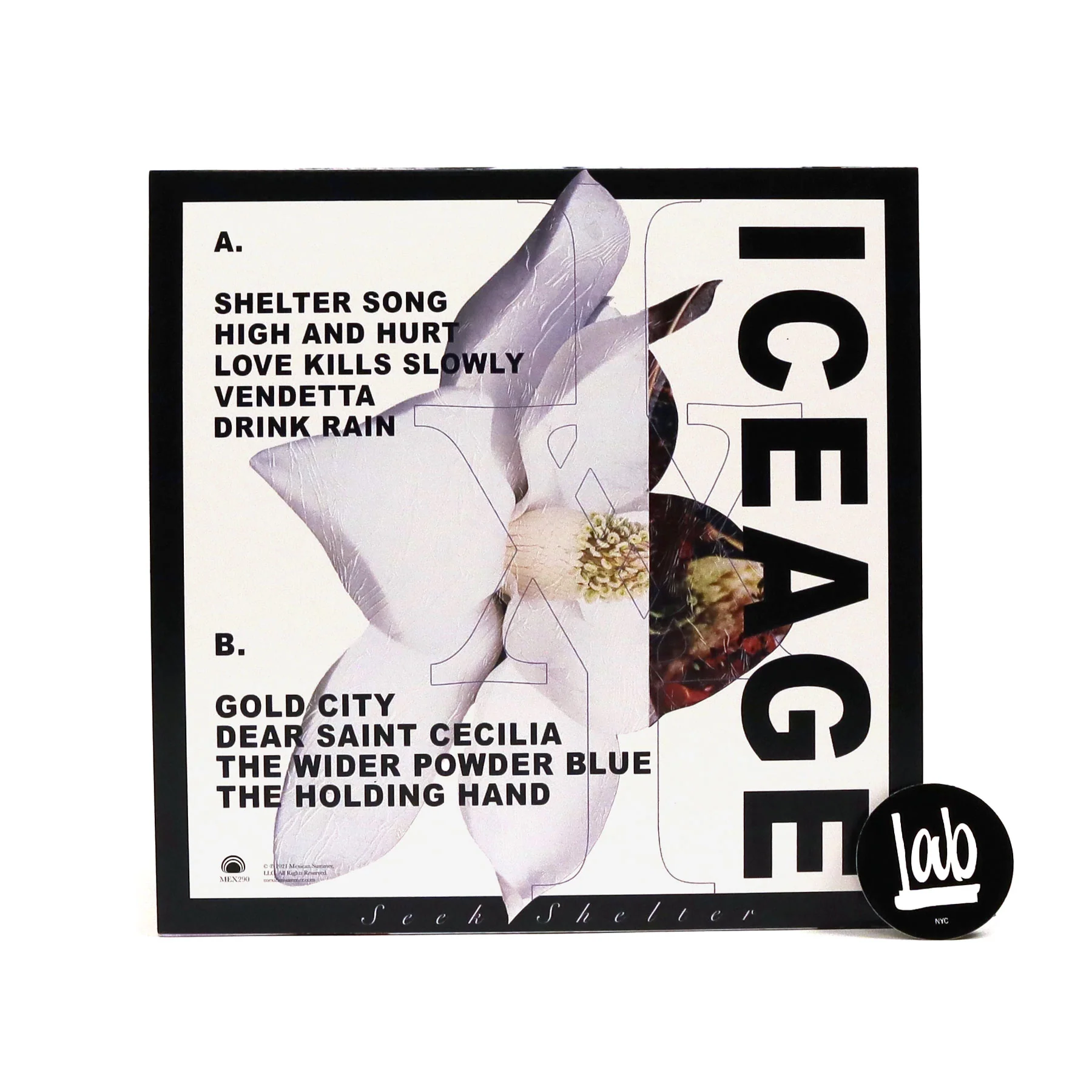 Iceage: Seek Shelter (Indie Exclusive Color Vinyl) Vinyl LP - Image 3