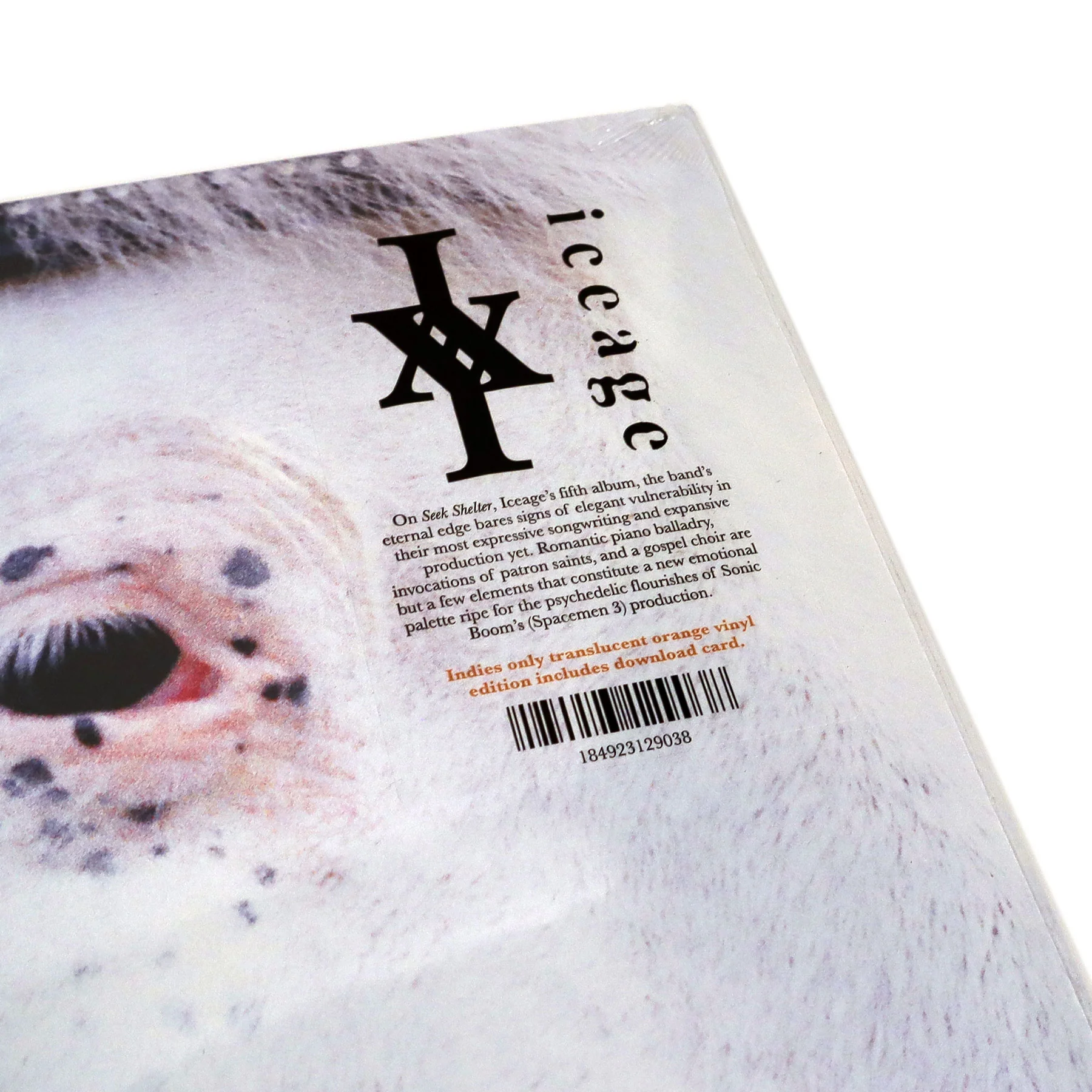 Iceage: Seek Shelter (Indie Exclusive Color Vinyl) Vinyl LP - Image 4