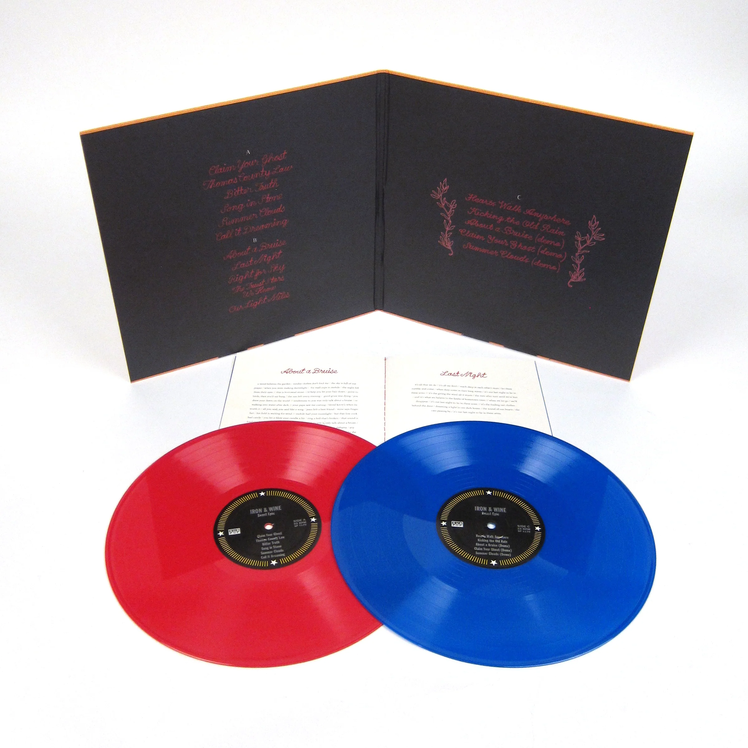 Iron And Wine: Beast Epic (Colored Vinyl) Vinyl 2LP - Image 2