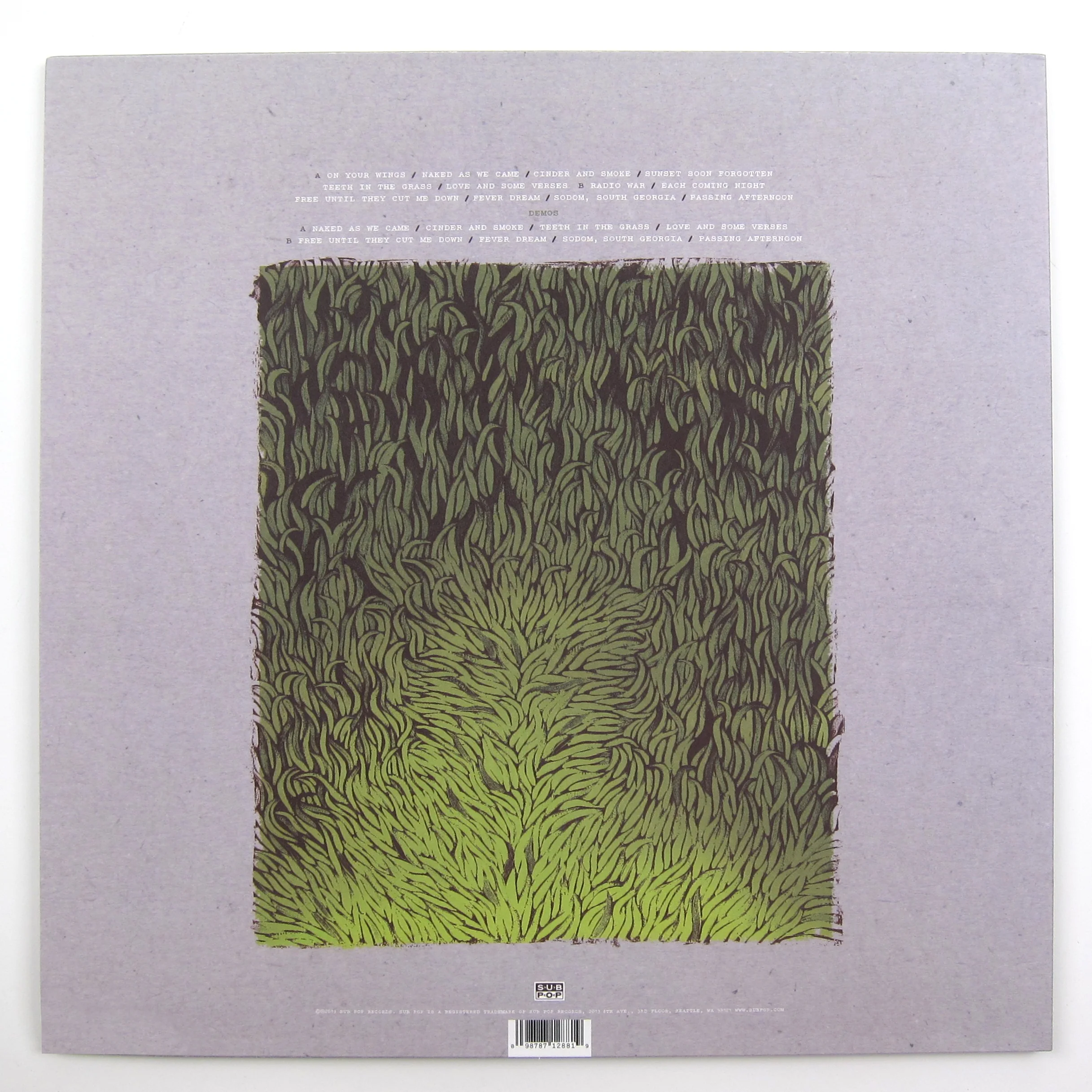 Iron And Wine: Our Endless Numbered Days Deluxe (Loser Edition Colored Vinyl) Vinyl 2LP - Image 3