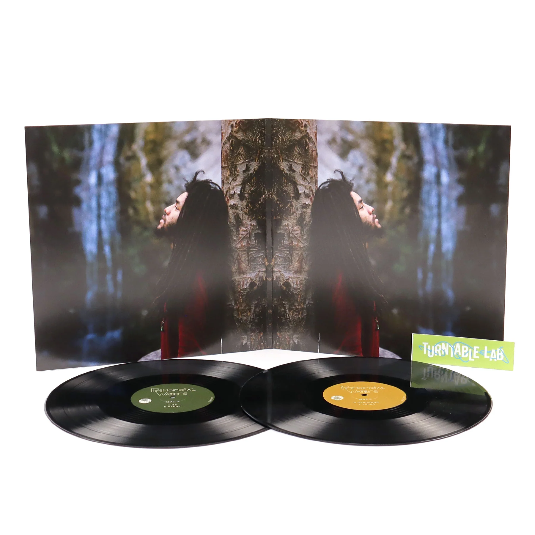 Jamael Dean: Primordial Waters Vinyl 2LP - Image 2