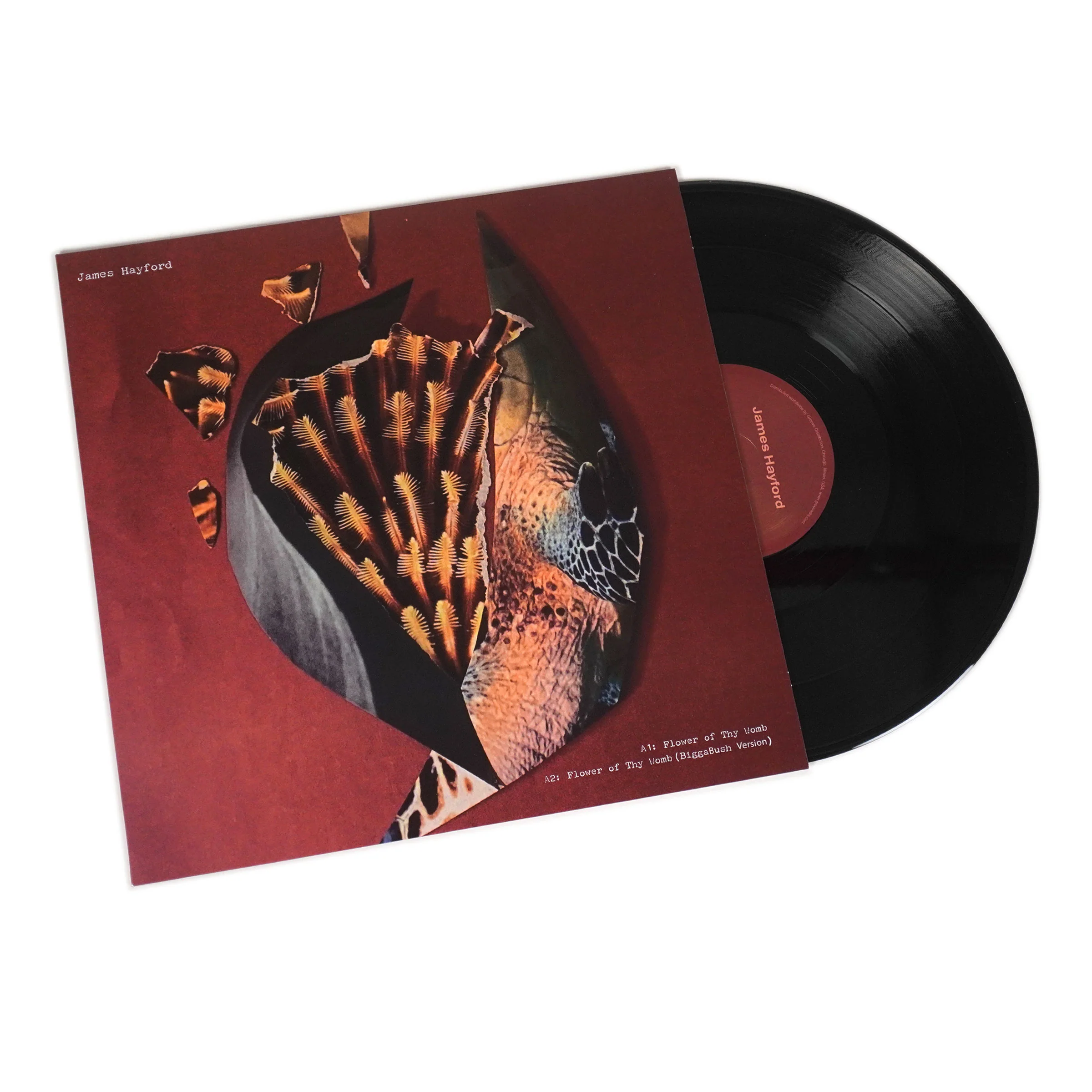 James Hayford & BiggaBush: Split EP Vinyl 12"