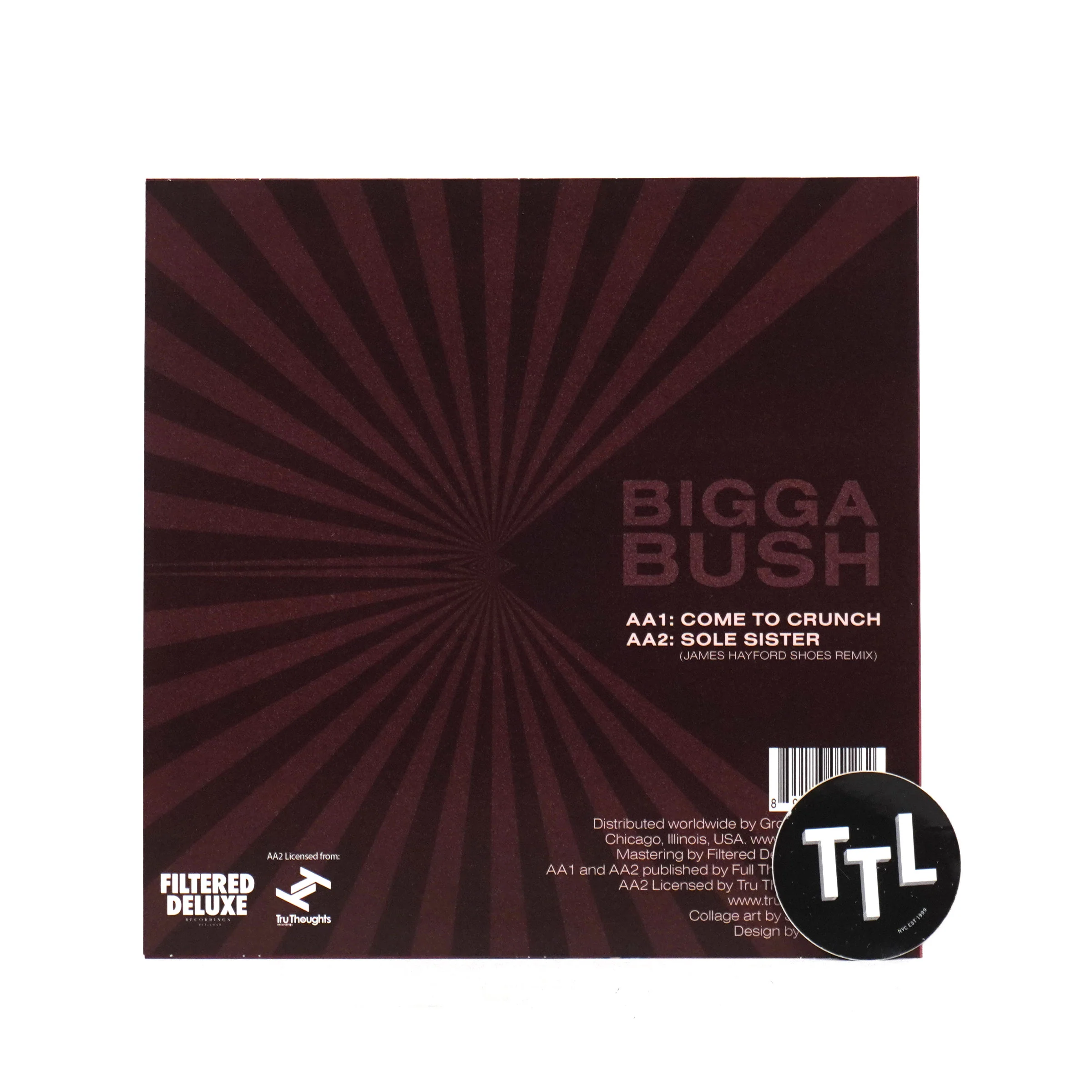 James Hayford & BiggaBush: Split EP Vinyl 12" - Image 2