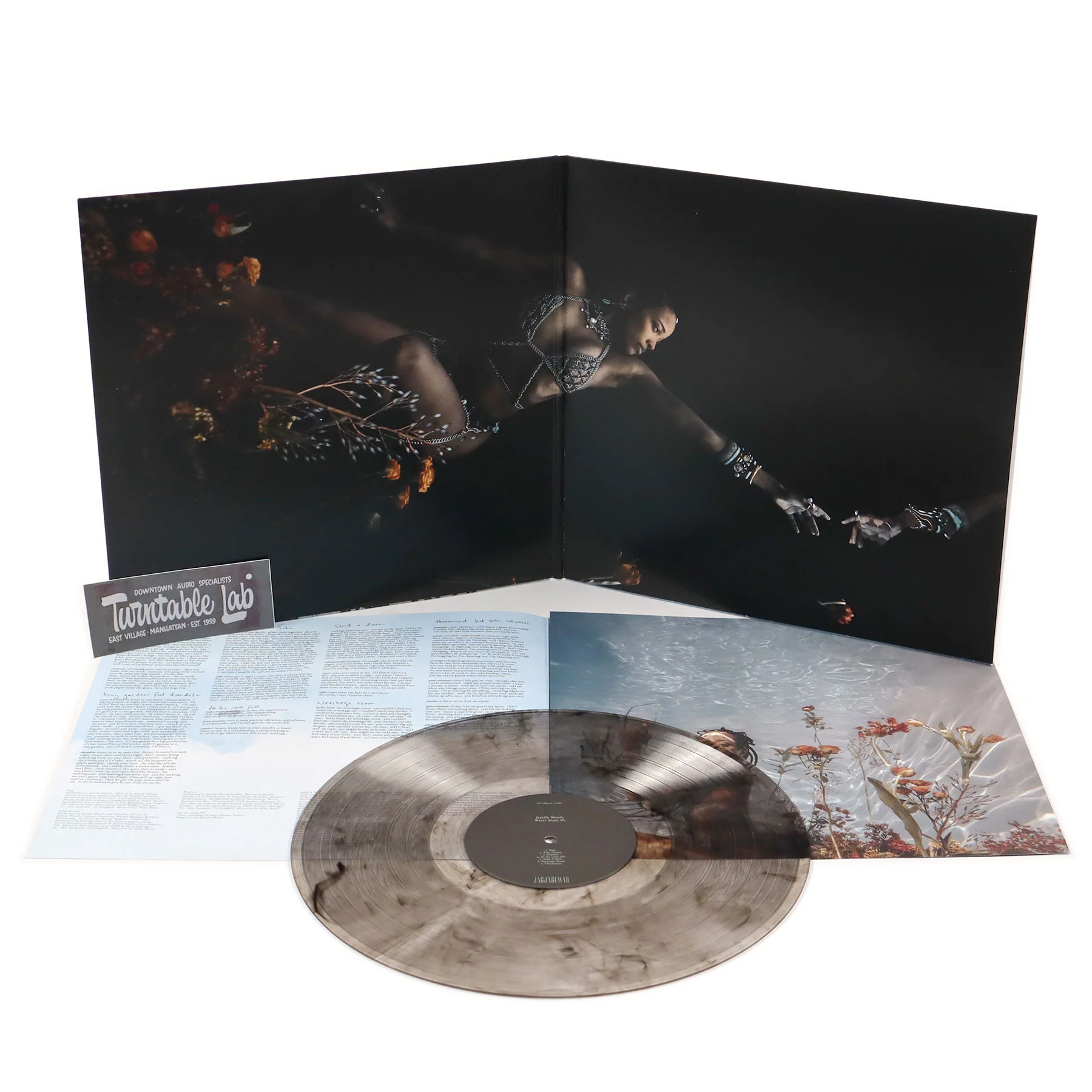 Jamila Woods: Water Made Us (Colored Vinyl) Vinyl LP - Image 2
