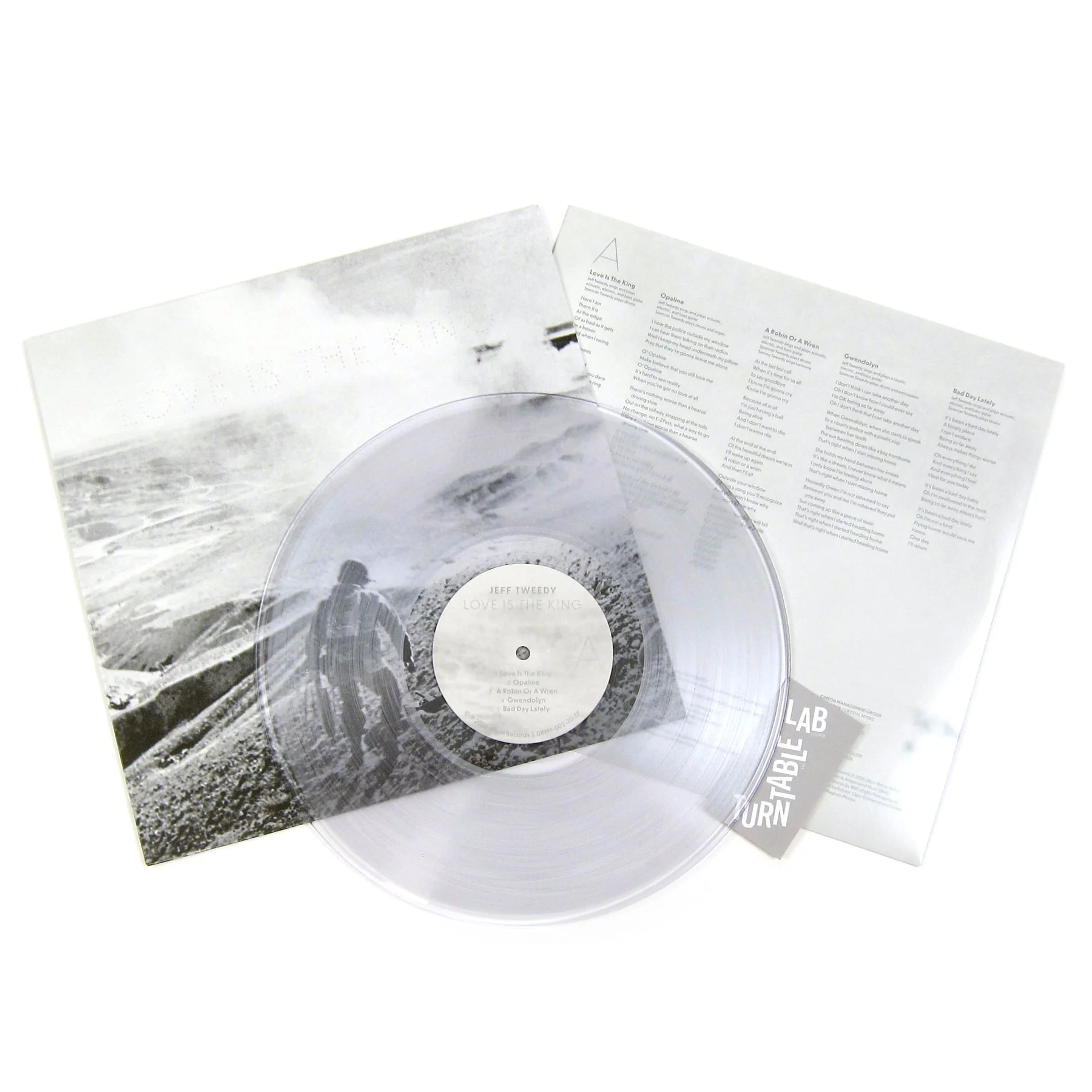 Jeff Tweedy: Love Is The King (Indie Exclusive Colored Vinyl) Vinyl LP - Image 2