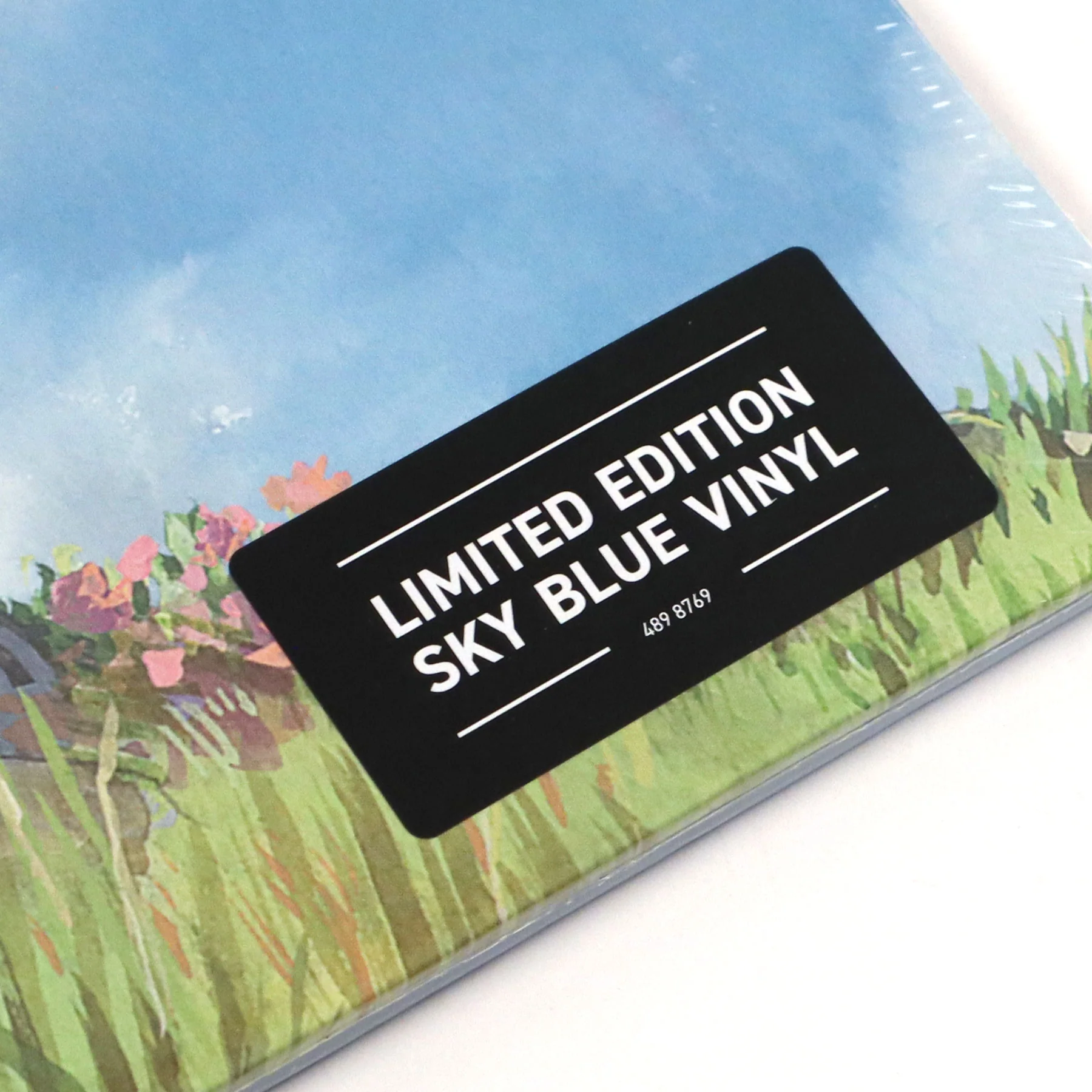 Joe Hisaishi: A Symphonic Celebration - Music From Studio Ghibli (Indie Exclusive Colored Vinyl) Vinyl 2LP - Image 4