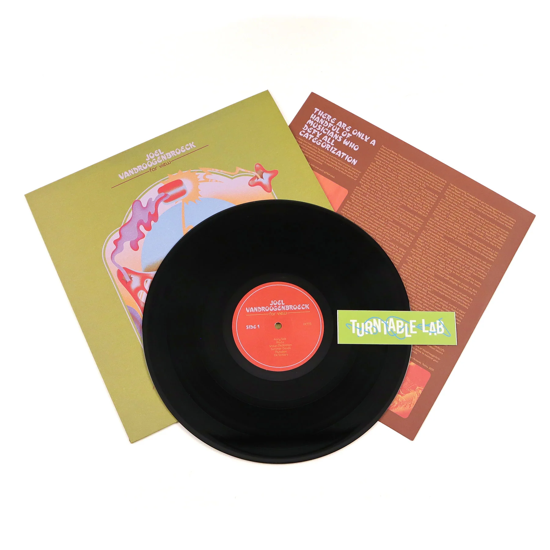 Joel Vandroogenbroeck: Far View Vinyl LP - Image 2