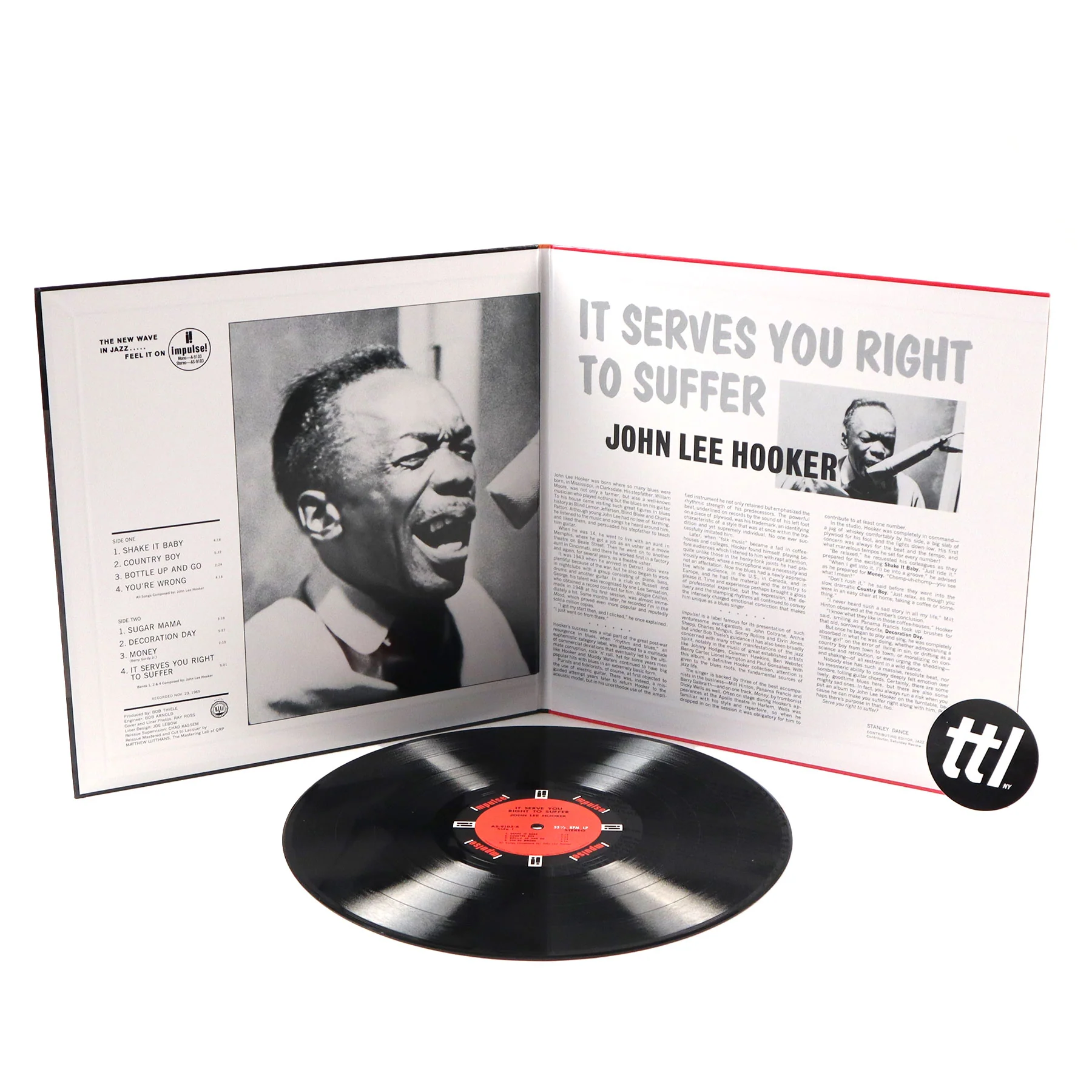 John Lee Hooker: It Serve You Right To Suffer (Acoustic Sounds 180g) Vinyl LP - Image 2