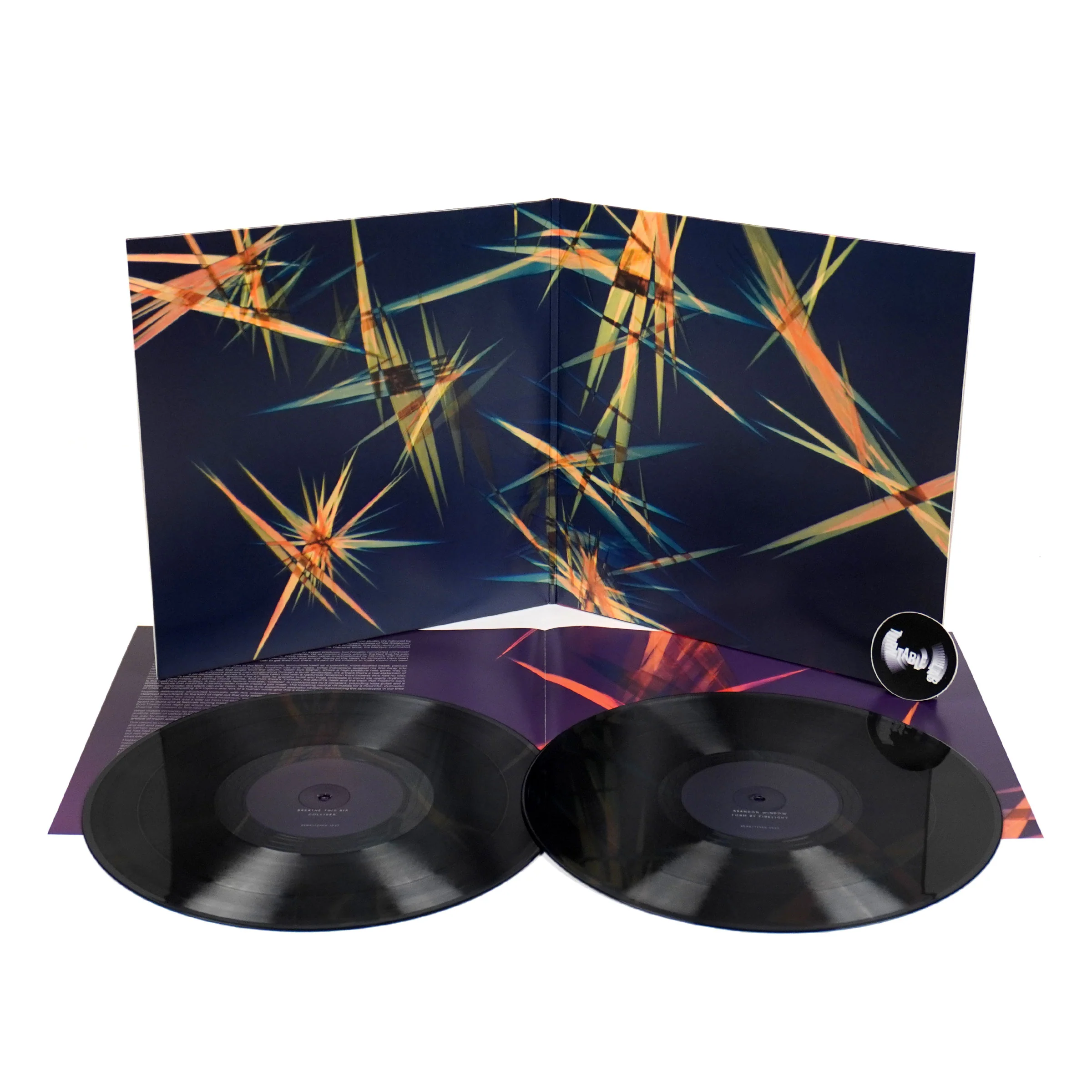 Jon Hopkins: Immunity Vinyl 2LP - Image 2