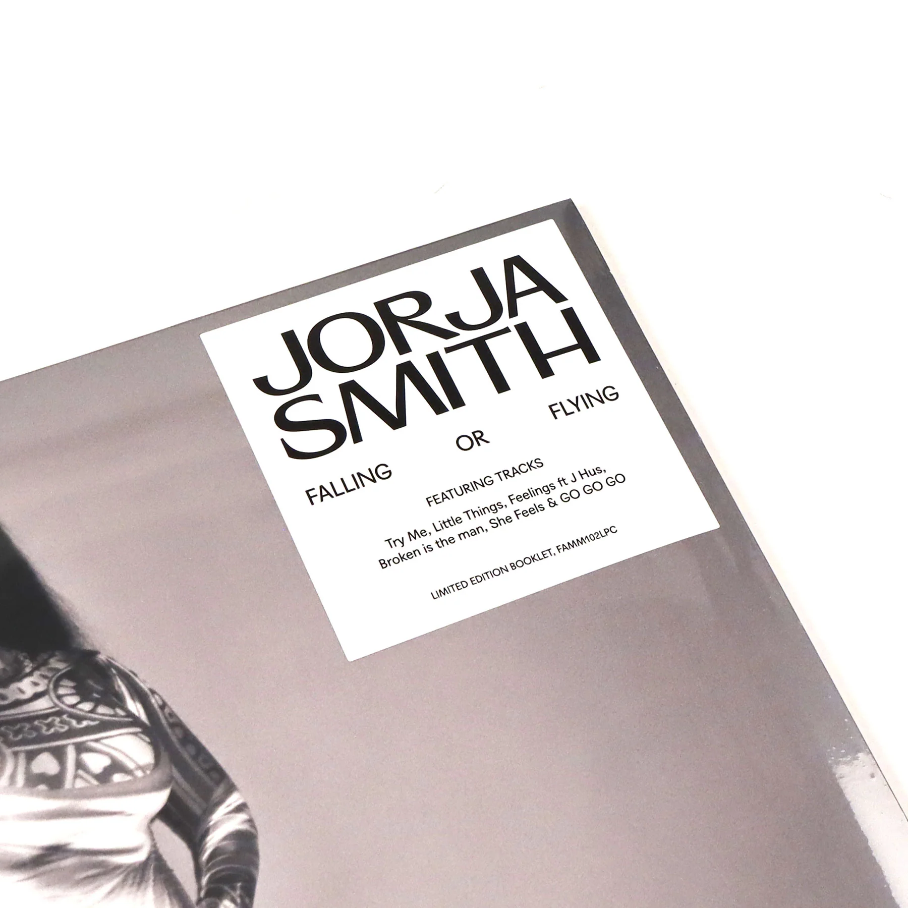 Jorja Smith: Falling Or Flying (Indie Exclusive) Vinyl LP - Image 4