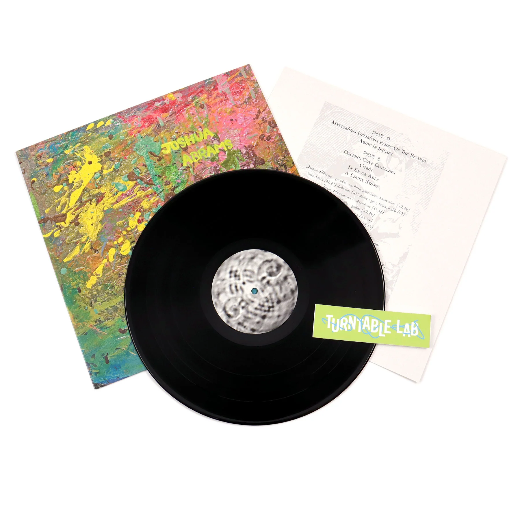 Joshua Abrams: Natural Information (180g) Vinyl LP - Image 2