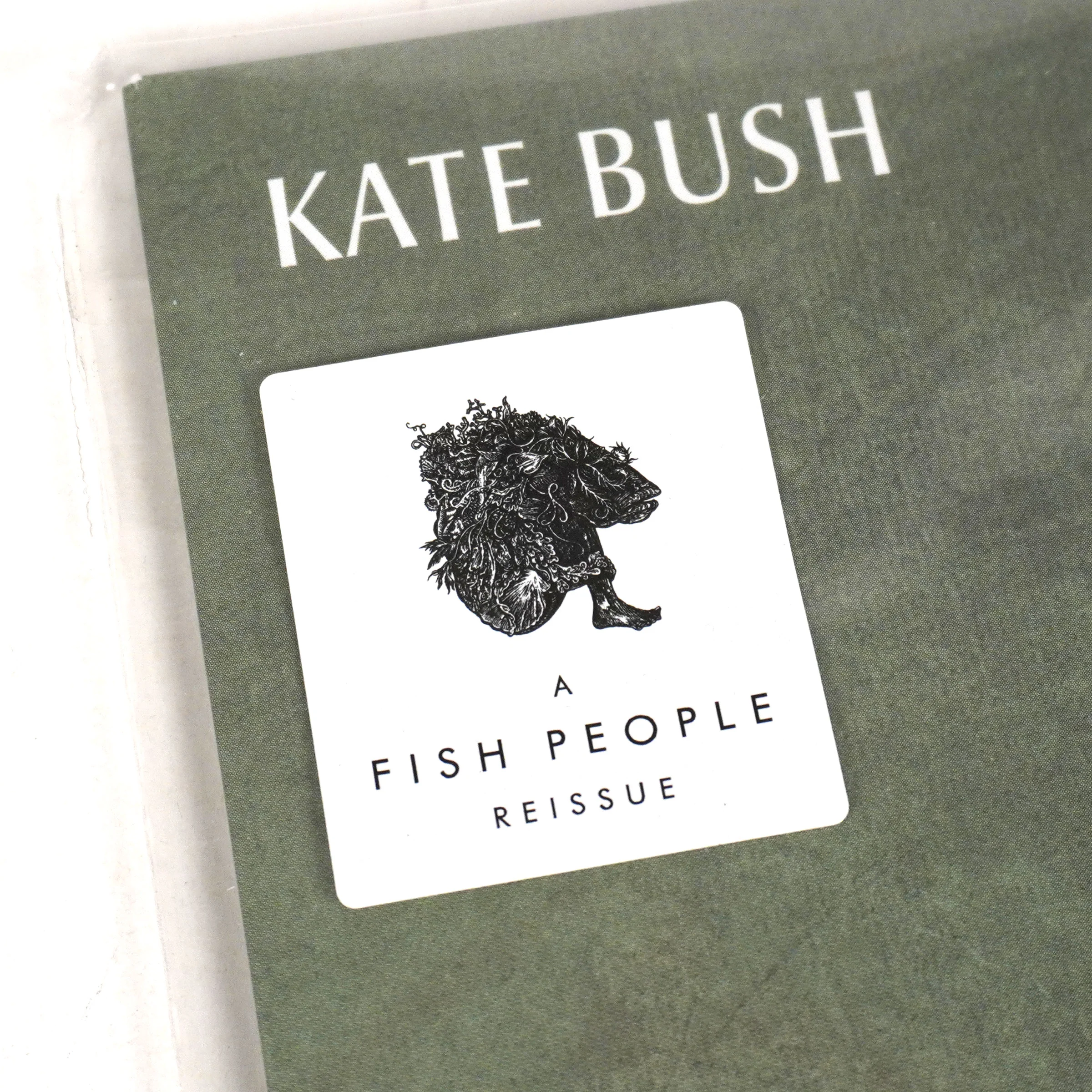 Kate Bush: Best Of The Other Sides (180g, Colored Vinyl) Vinyl LP - Image 3