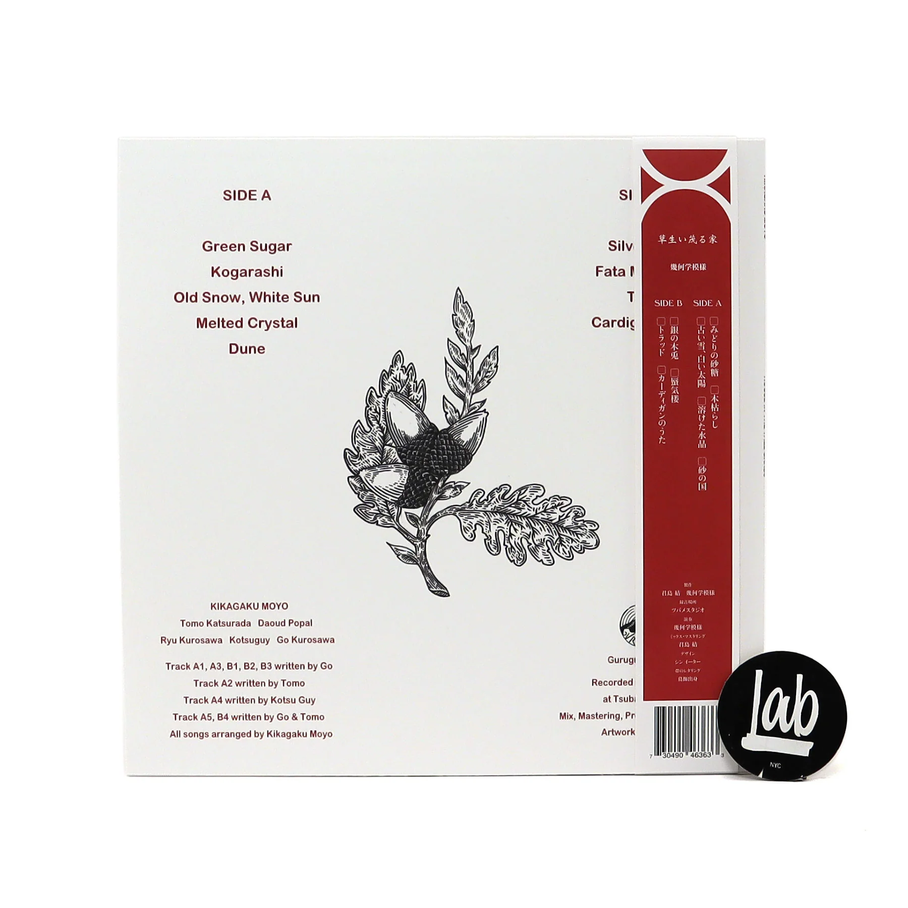 Kikagaku Moyo: House In The Tall Grass Vinyl LP - Image 3