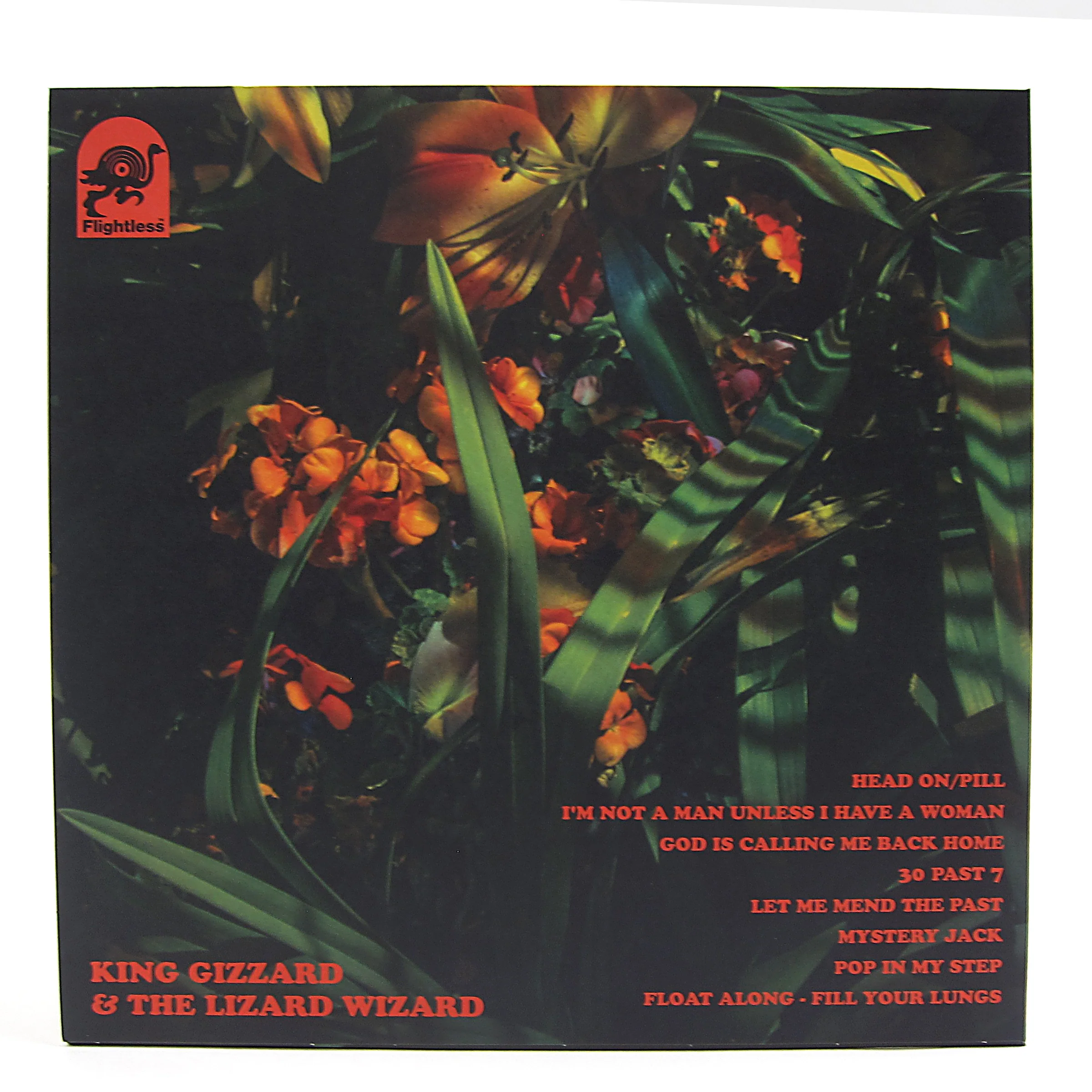 King Gizzard And The Lizard Wizard: Float Along - Fill Your Lungs (Colored Vinyl) Vinyl LP - Image 3