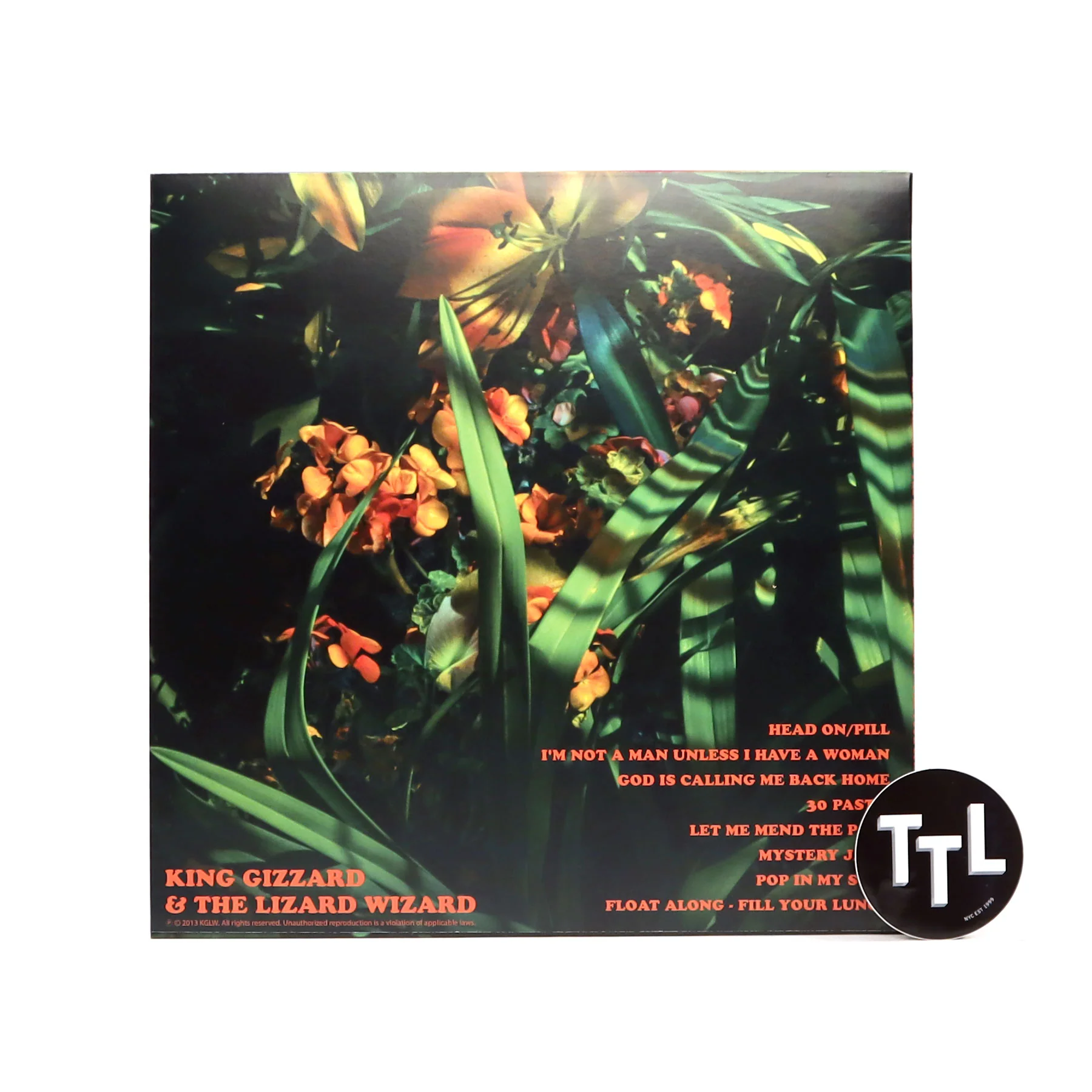 King Gizzard And The Lizard Wizard: Float Along - Fill Your Lungs (Venusian Sky Colored Vinyl) Vinyl LP - Image 3