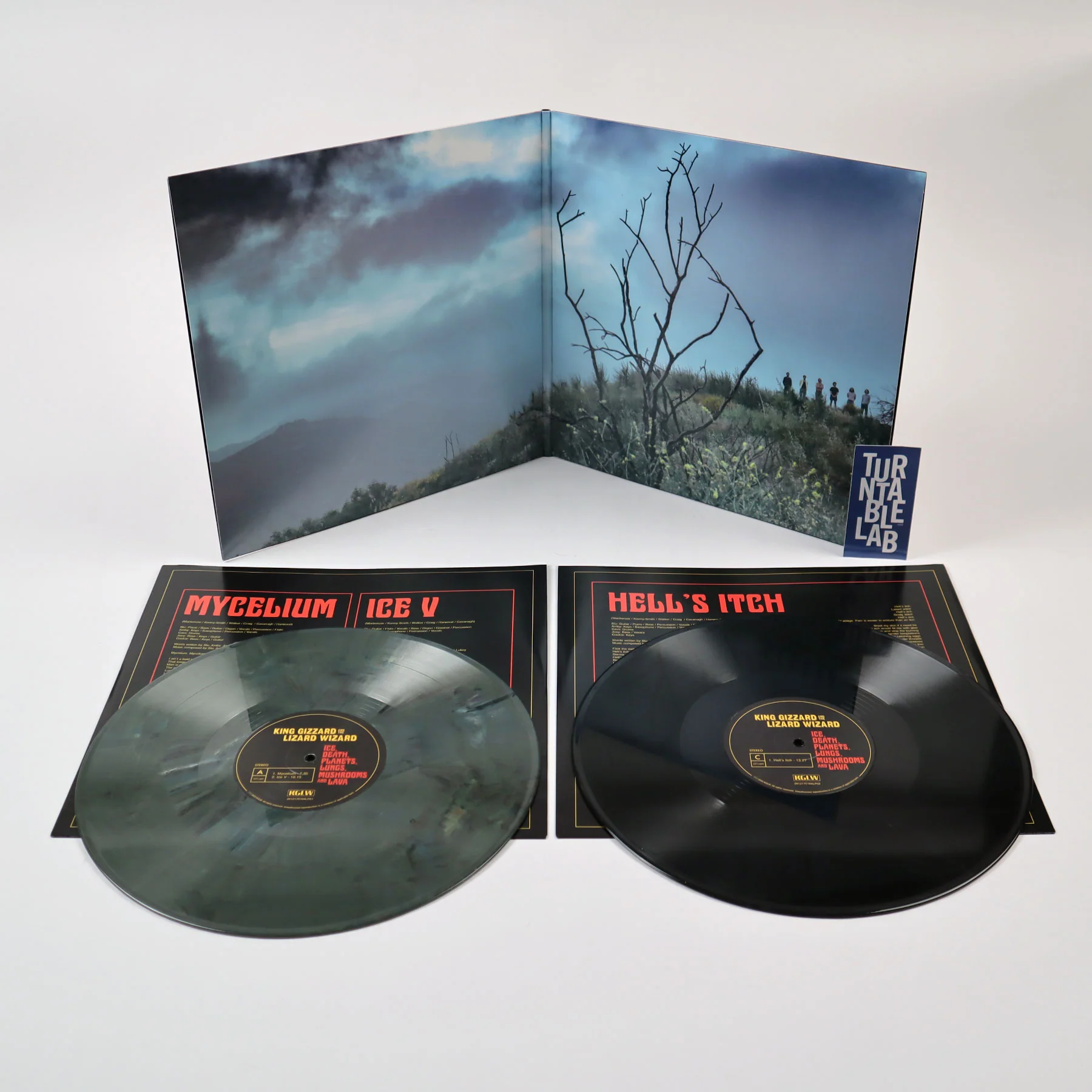 King Gizzard And The Lizard Wizard: Ice, Death, Planets, Lungs, Mushrooms And Lava (180g) Vinyl 2LP - Image 2