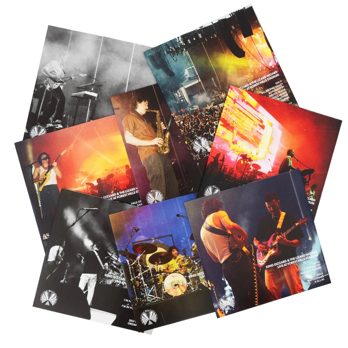 King Gizzard And The Lizard Wizard: Live At Forest Hills Stadium '24 (Colored Vinyl) Vinyl 8LP Boxset - Image 5