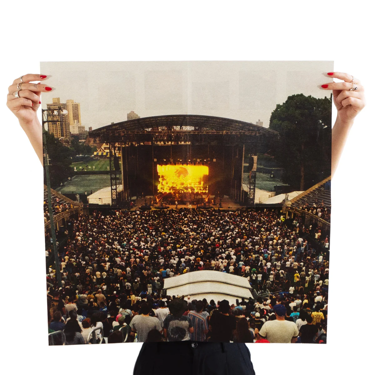 King Gizzard And The Lizard Wizard: Live At Forest Hills Stadium '24 (Colored Vinyl) Vinyl 8LP Boxset - Image 7