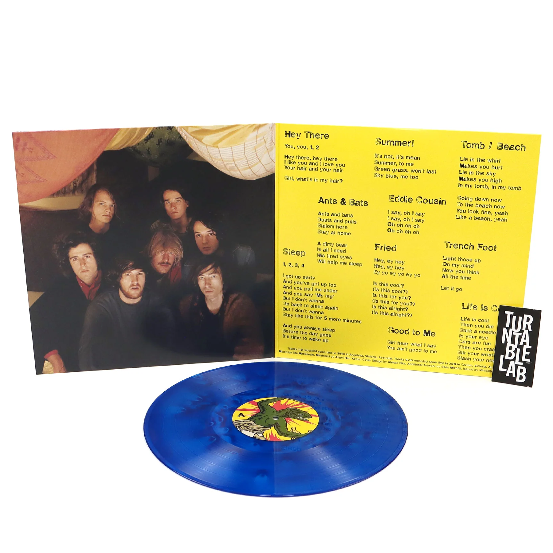King Gizzard And The Lizard Wizard: Teenage Gizzard (Blue Colored Vinyl) Vinyl LP - Image 2