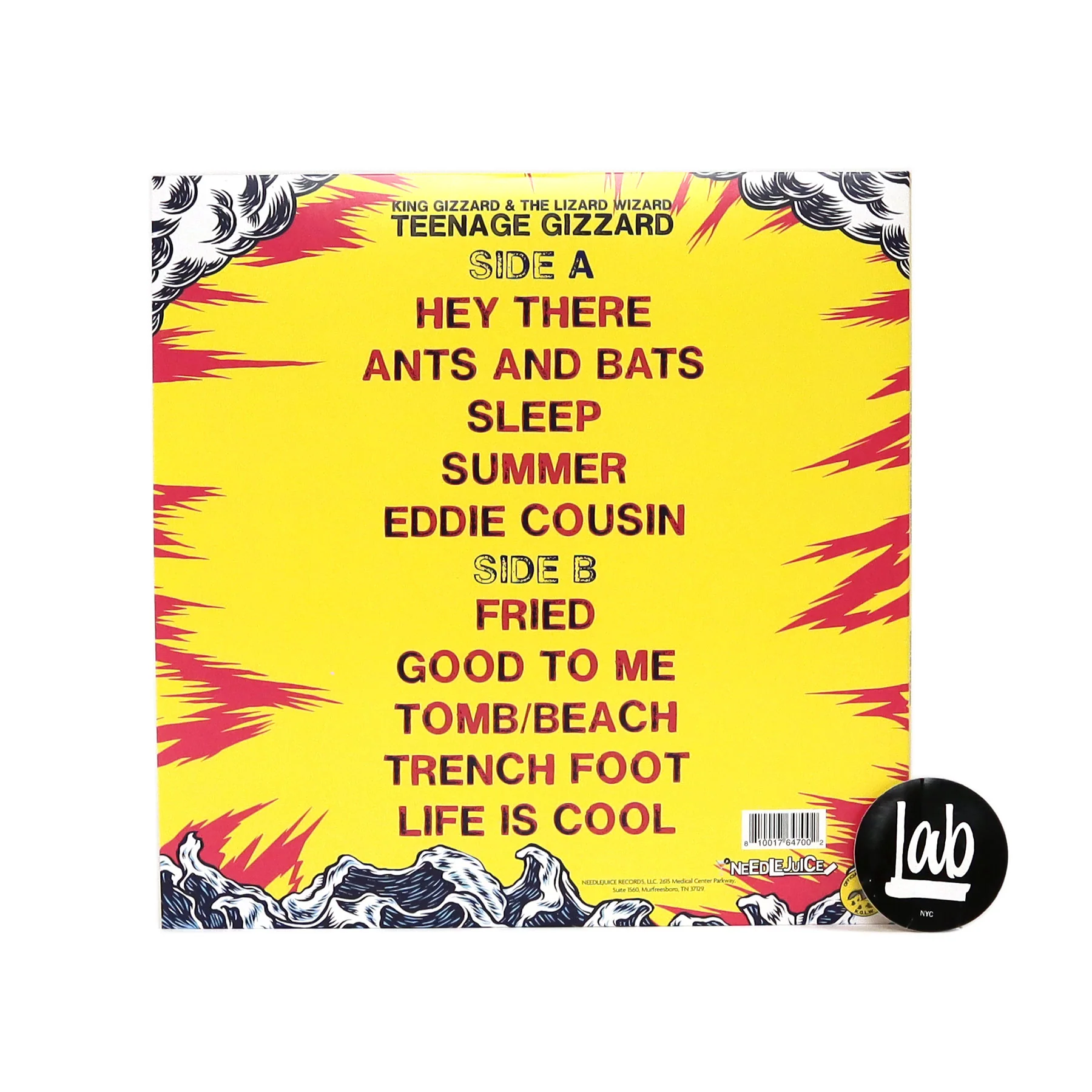 King Gizzard And The Lizard Wizard: Teenage Gizzard (Blue Colored Vinyl) Vinyl LP - Image 3