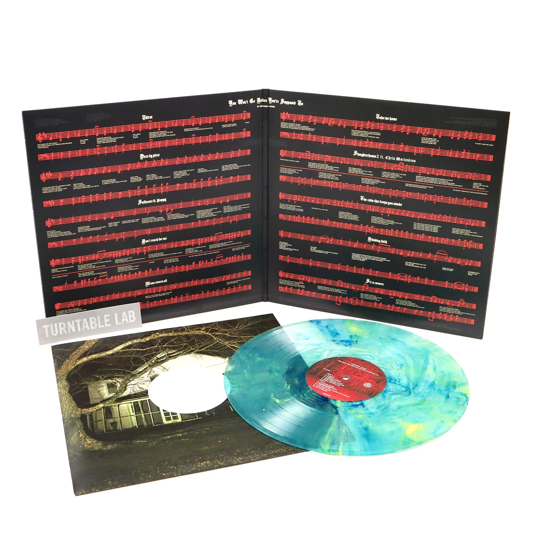 Knocked Loose: You Won't Go Before You're Supposed To (Colored Vinyl) Vinyl LP - Image 2