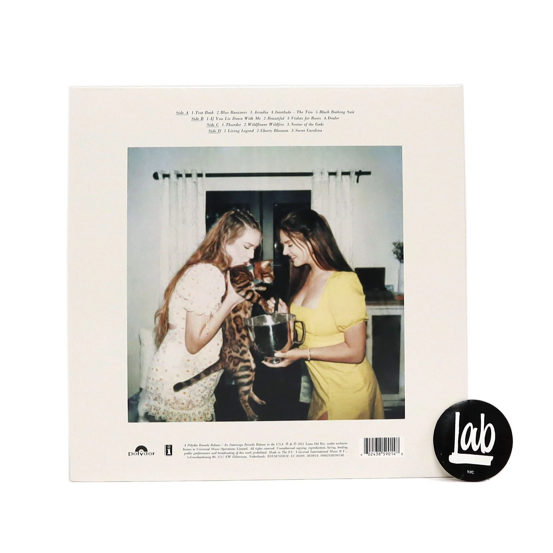 Lana Del Rey: Blue Banisters Vinyl 2LP - Image 3