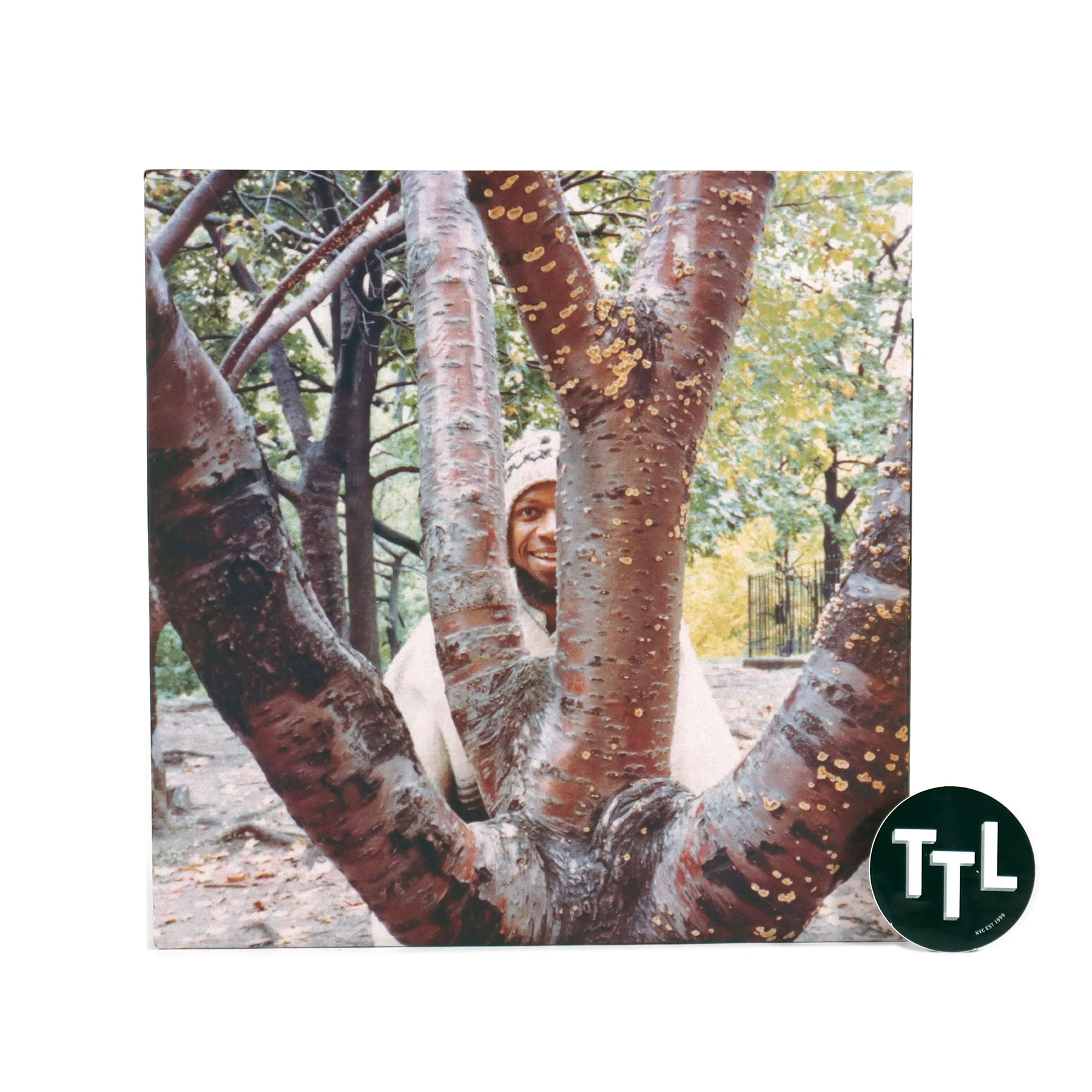 Laraaji: Segue To Infinity Vinyl (Celestial Vibration) 4LP Boxset - Image 4