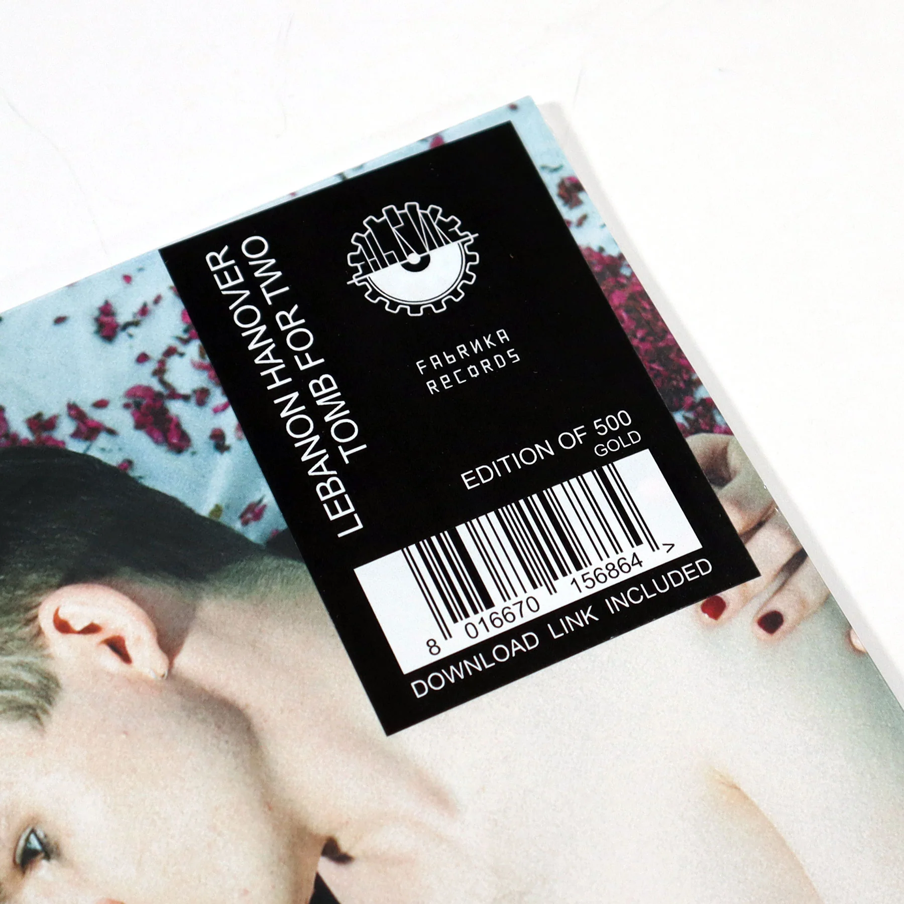 Lebanon Hanover: Tomb For Two (Colored Vinyl) Vinyl LP - Image 4