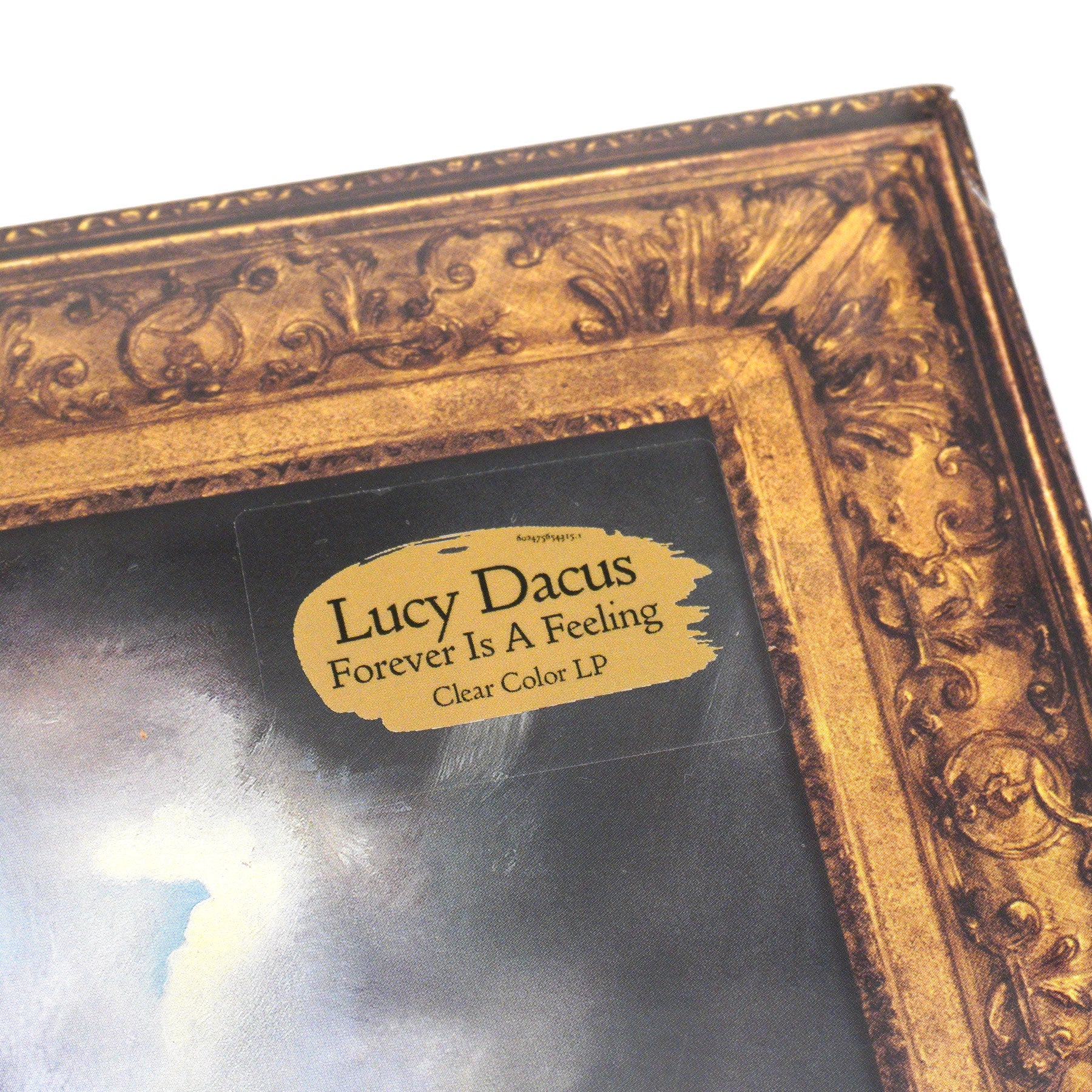 Lucy Dacus: Forever Is A Feeling (Clear Colored Vinyl) Vinyl LP - Image 4