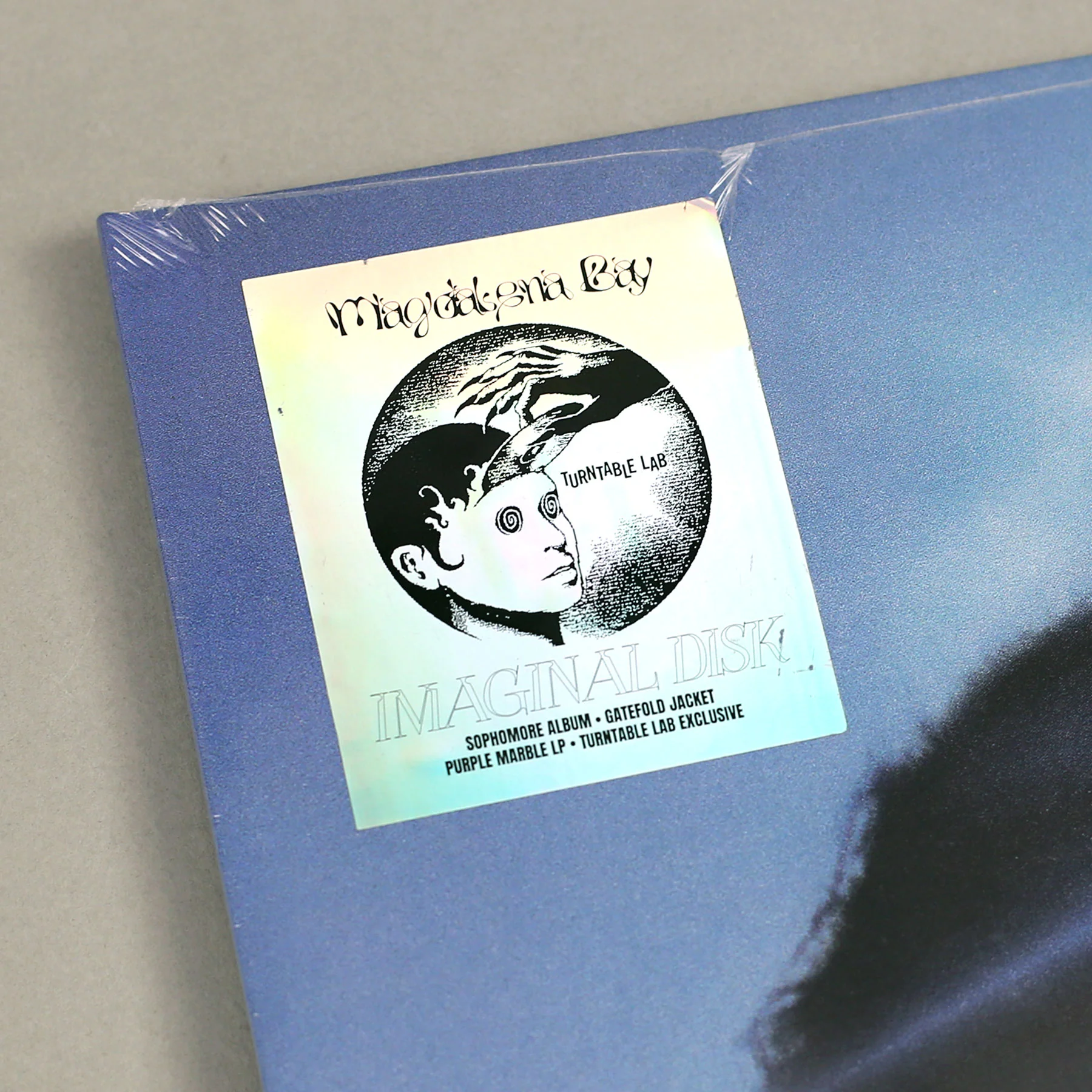 Magdalena Bay: Imaginal Disk (Purple Colored Vinyl) Vinyl 2LP - Turntable Lab Exclusive - Image 6