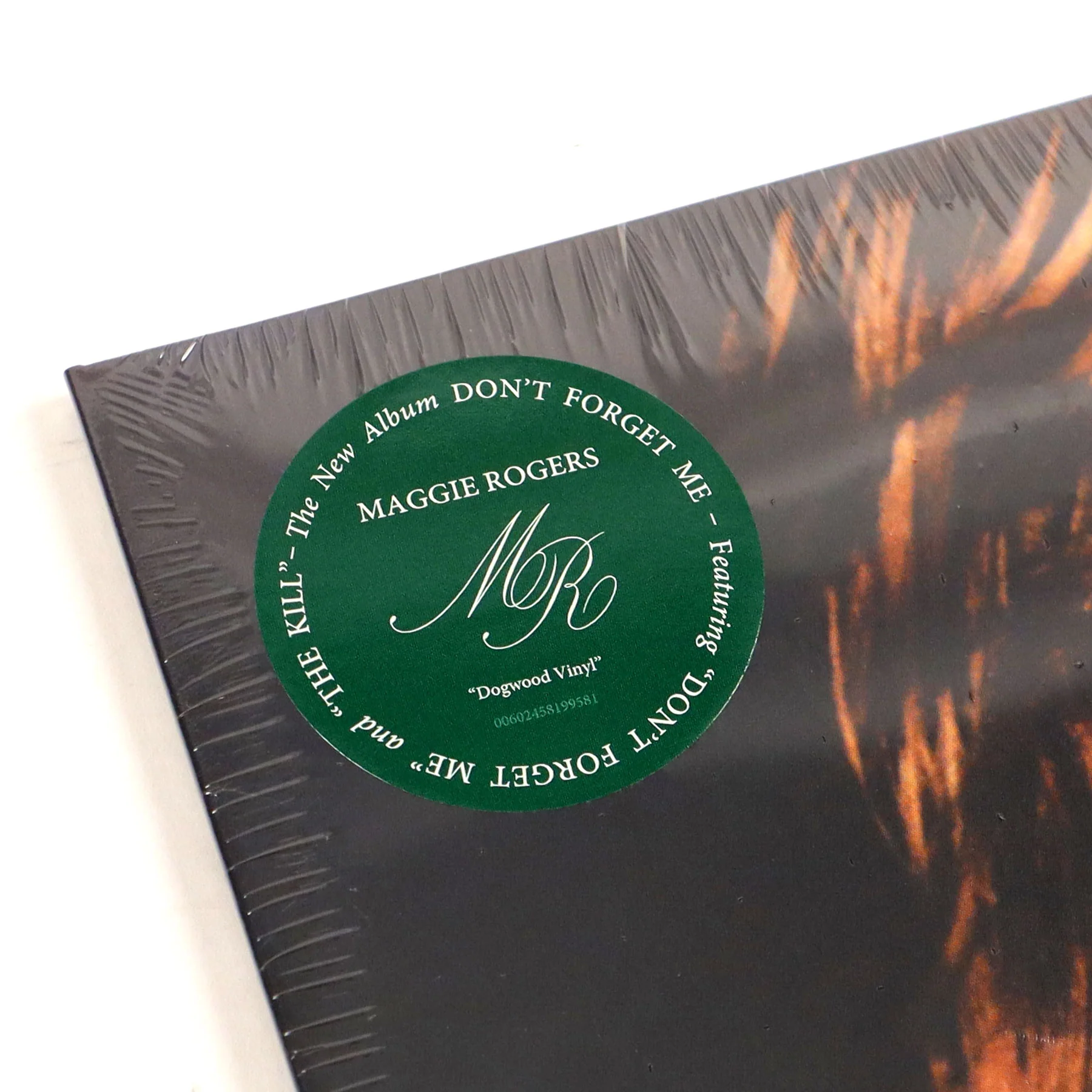 Maggie Rogers: Don't Forget Me (Indie Exclusive Colored Vinyl) Vinyl LP - Image 4