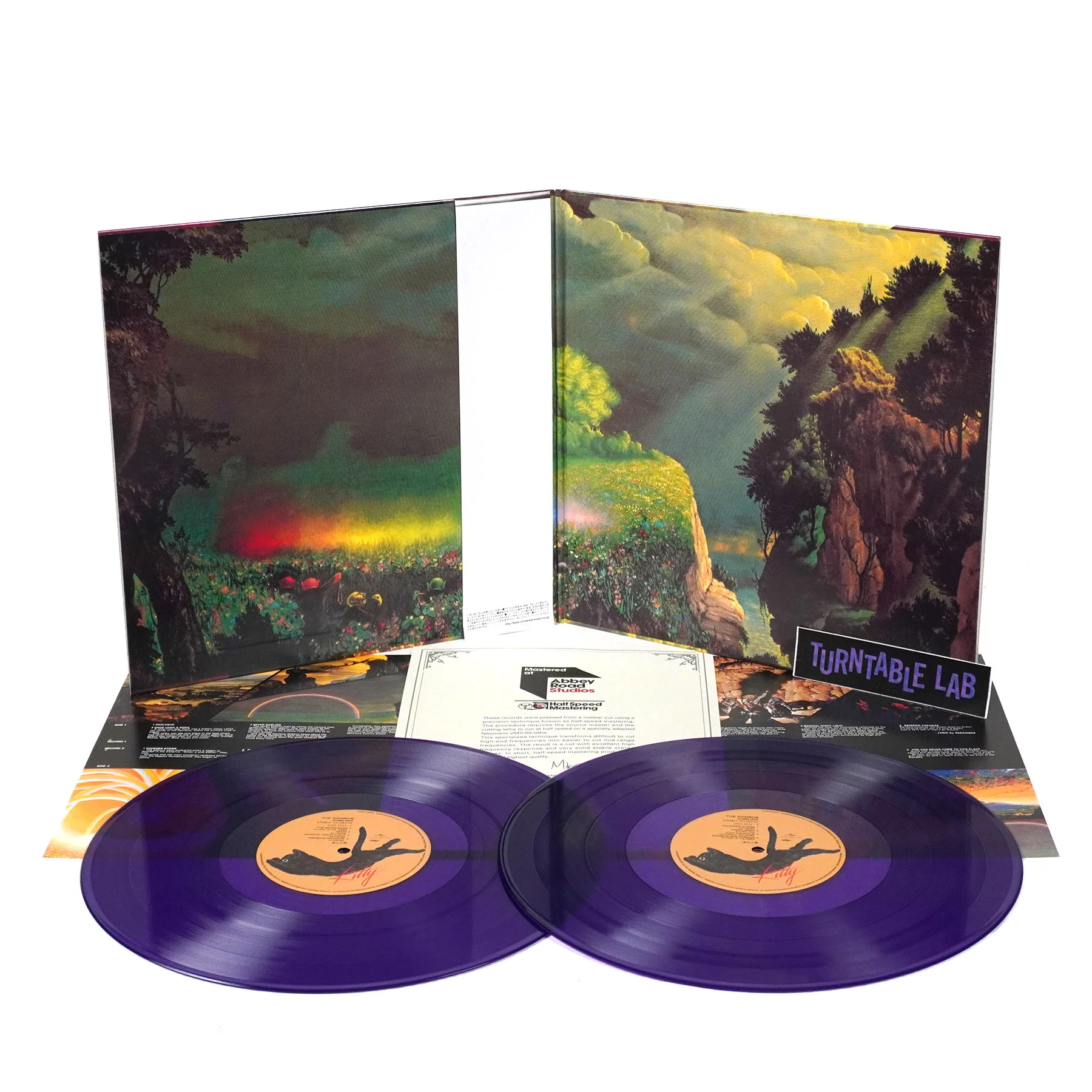 Masayoshi Takanaka: The Rainbow Goblins (Japan Import, Colored Vinyl) Vinyl 2LP - PRE-ORDER - Image 2