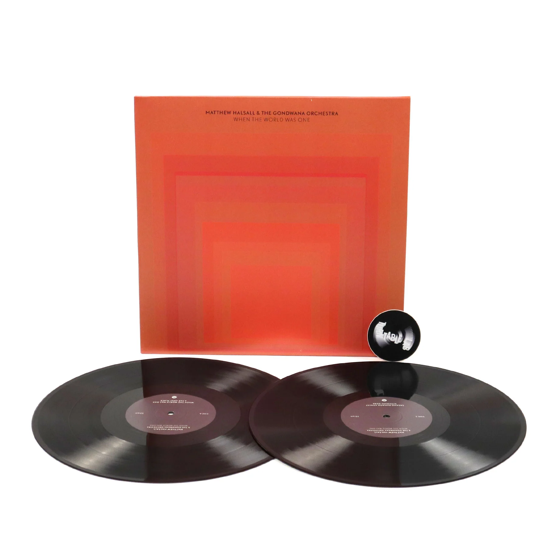 Matthew Halsall & The Gondwana Orchestra: When The World Was One Vinyl 2LP - Image 2