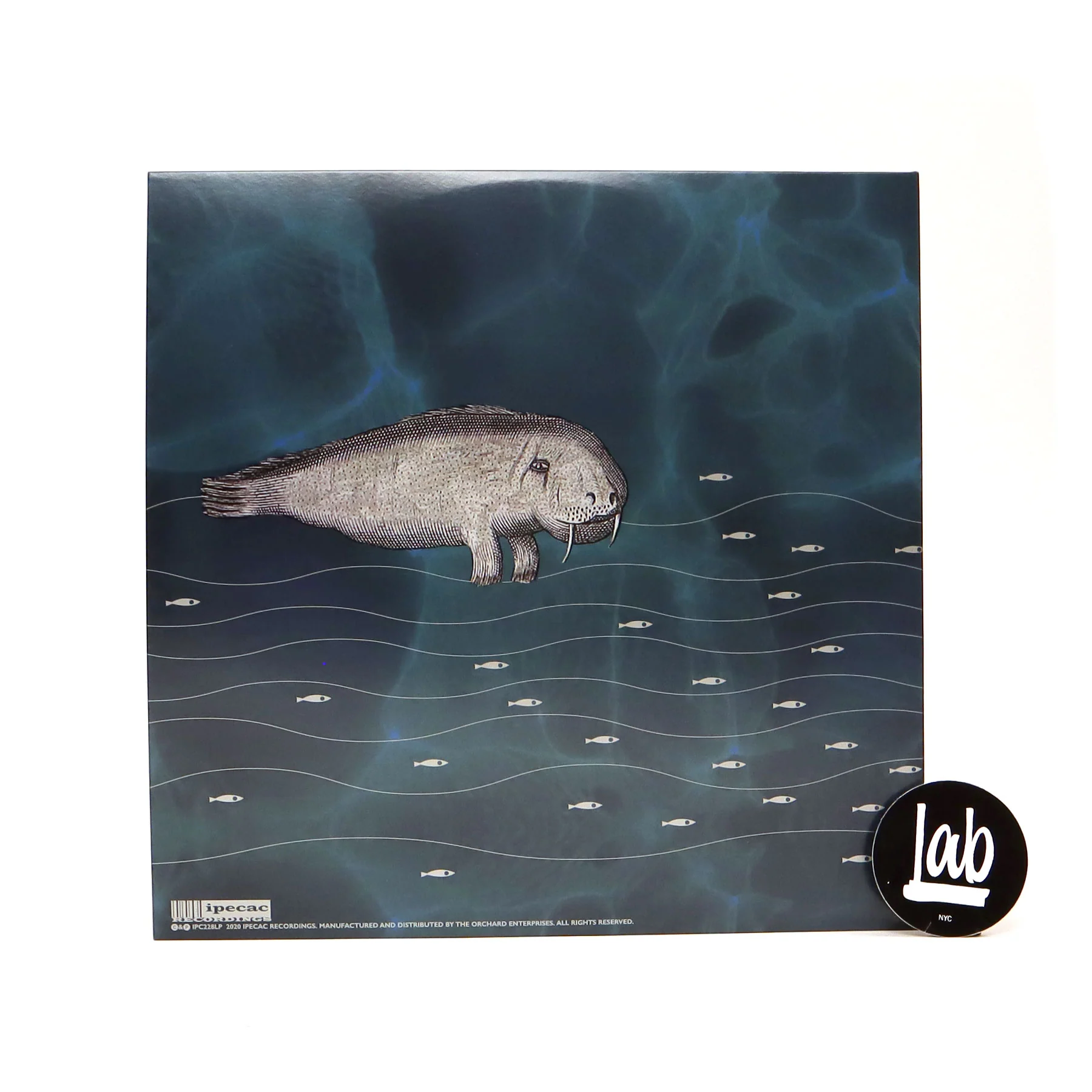 Melvins: (A) Senile Animal (Colored Vinyl) Vinyl 2LP - Image 3