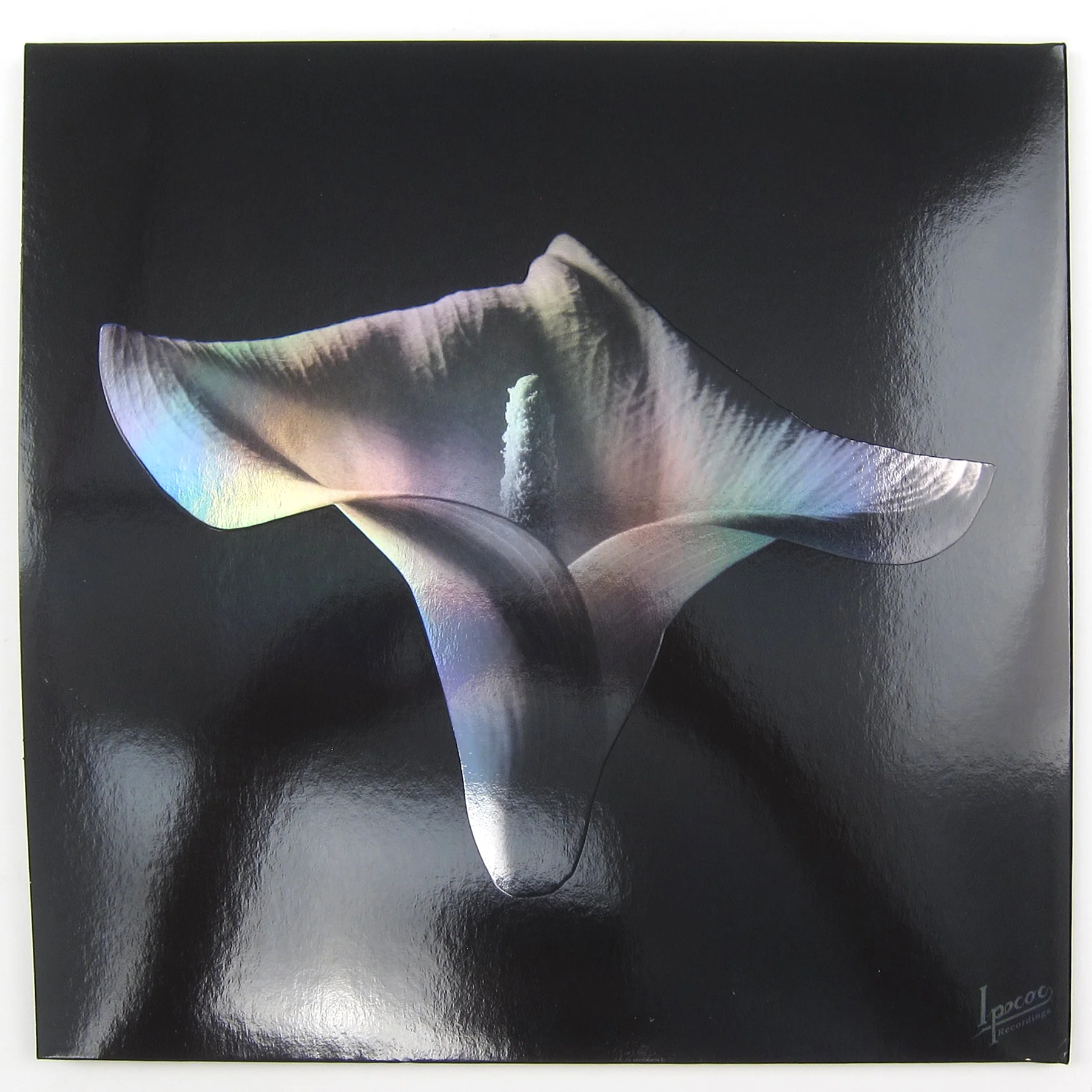 Mike Patton and Jean-Claude Vannier: Corpse Flower (Colored Vinyl) Vinyl LP - Image 3