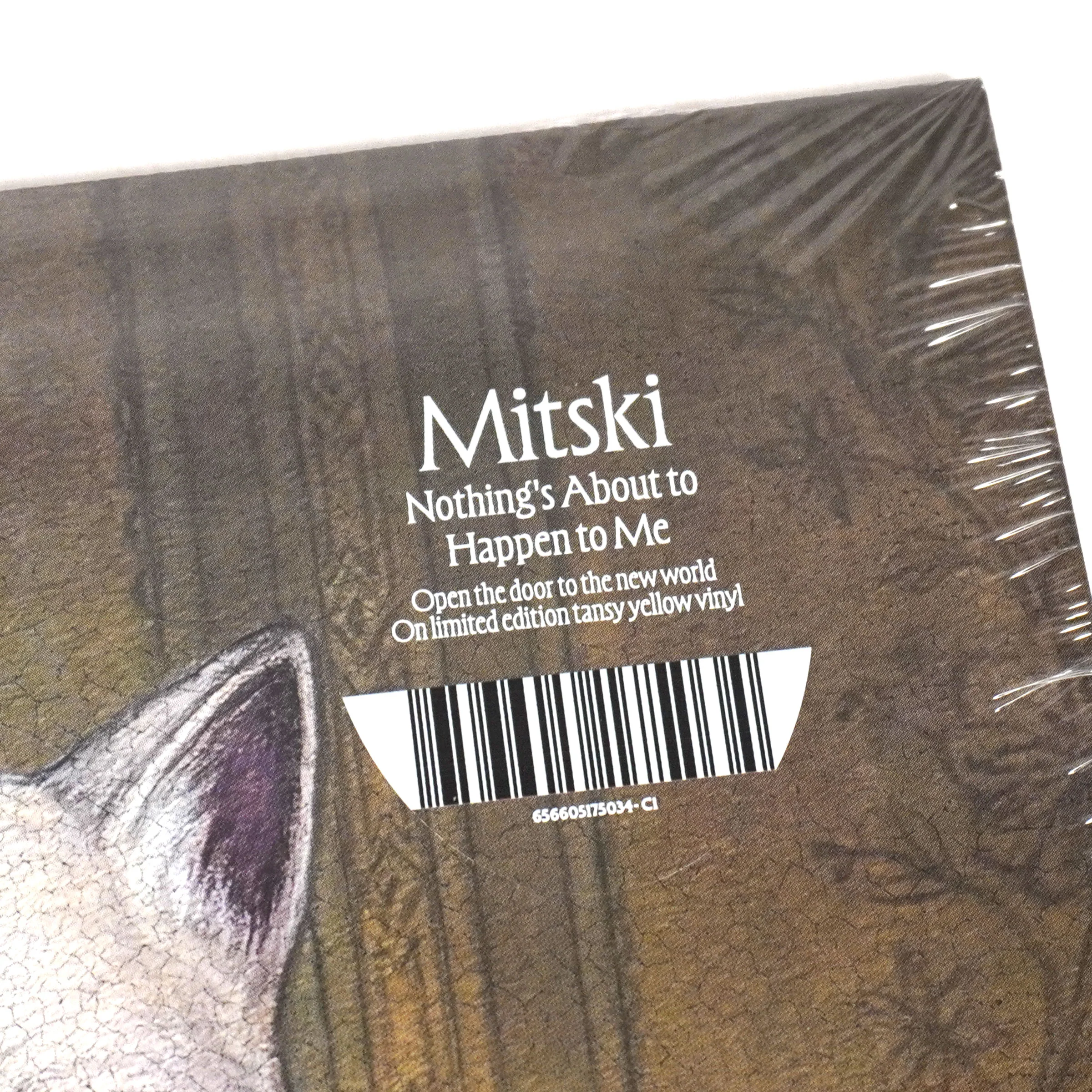 Mitski: Nothing's About to Happen to Me (Indie Exclusive Colored Vinyl) Vinyl LP - Image 4