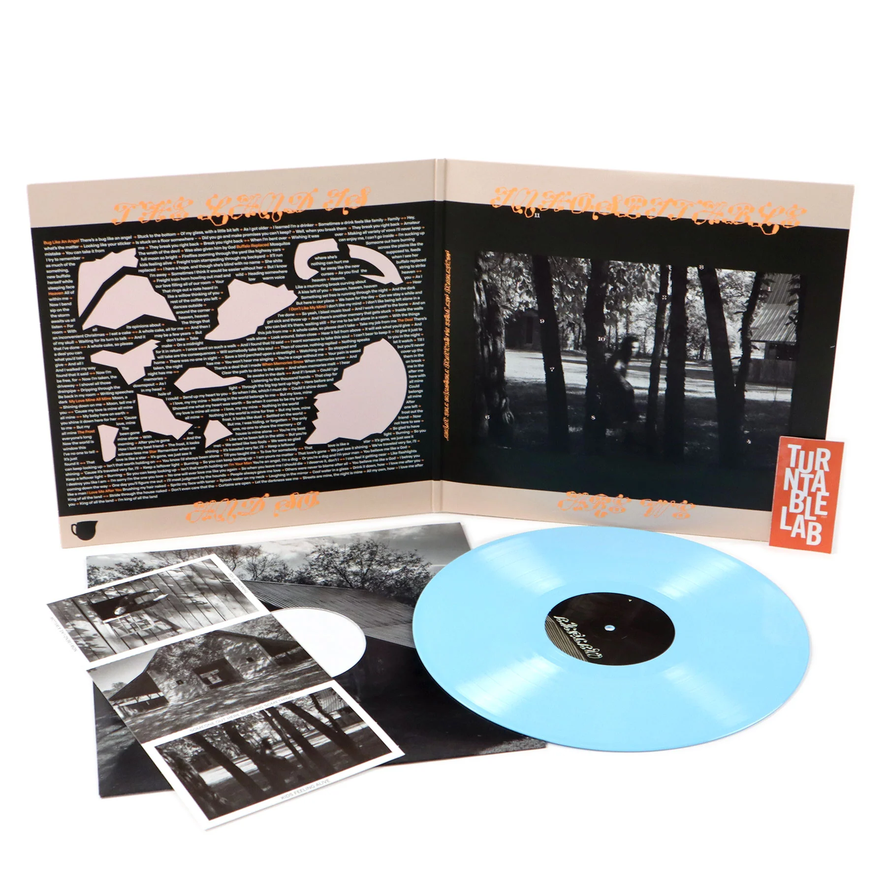 Mitski: The Land Is Inhospitable And So Are We (Indie Exclusive Blue Colored Vinyl) Vinyl LP - Image 3