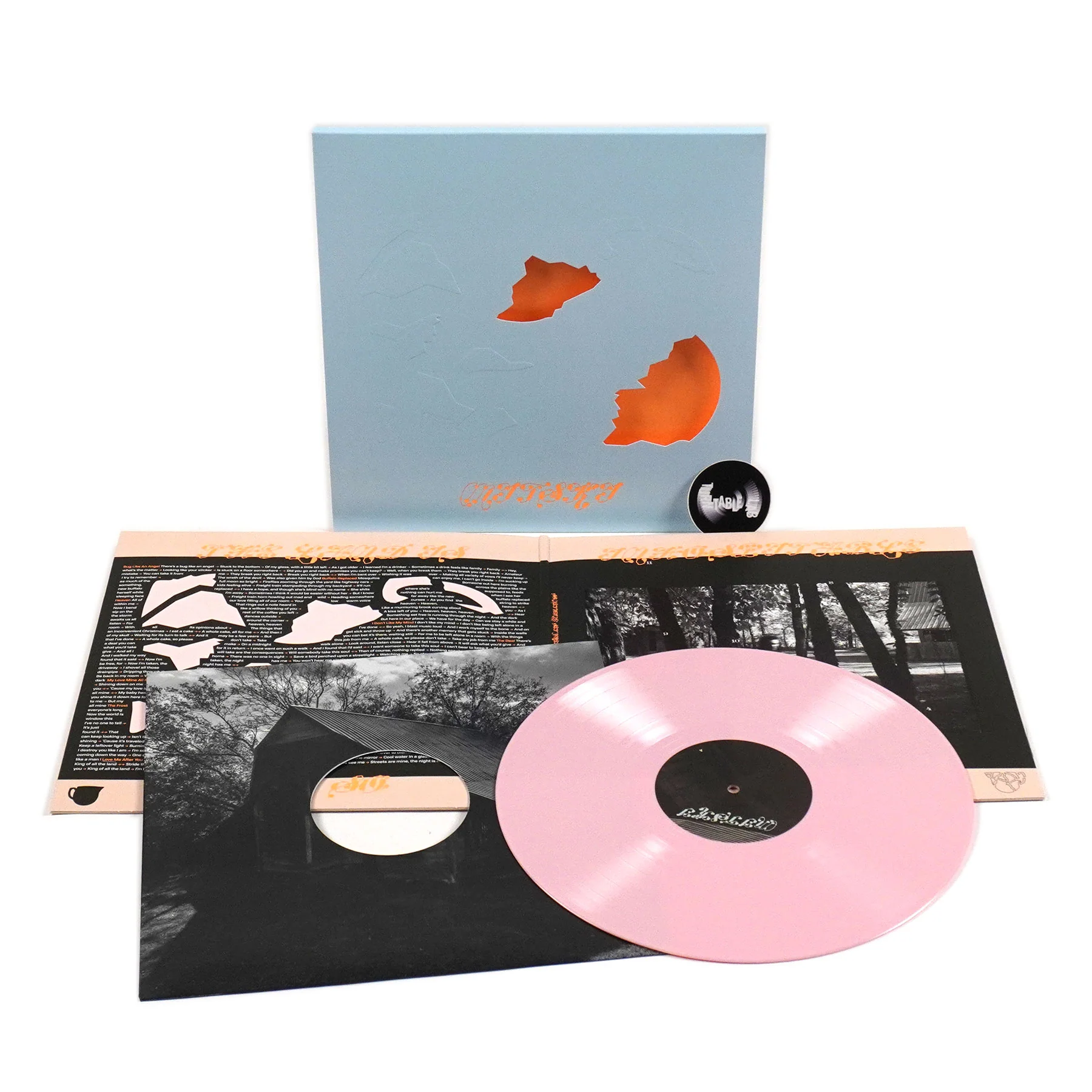 Mitski: The Land Is Inhospitable And So Are We (Pink Colored Vinyl) Vinyl LP - Image 2
