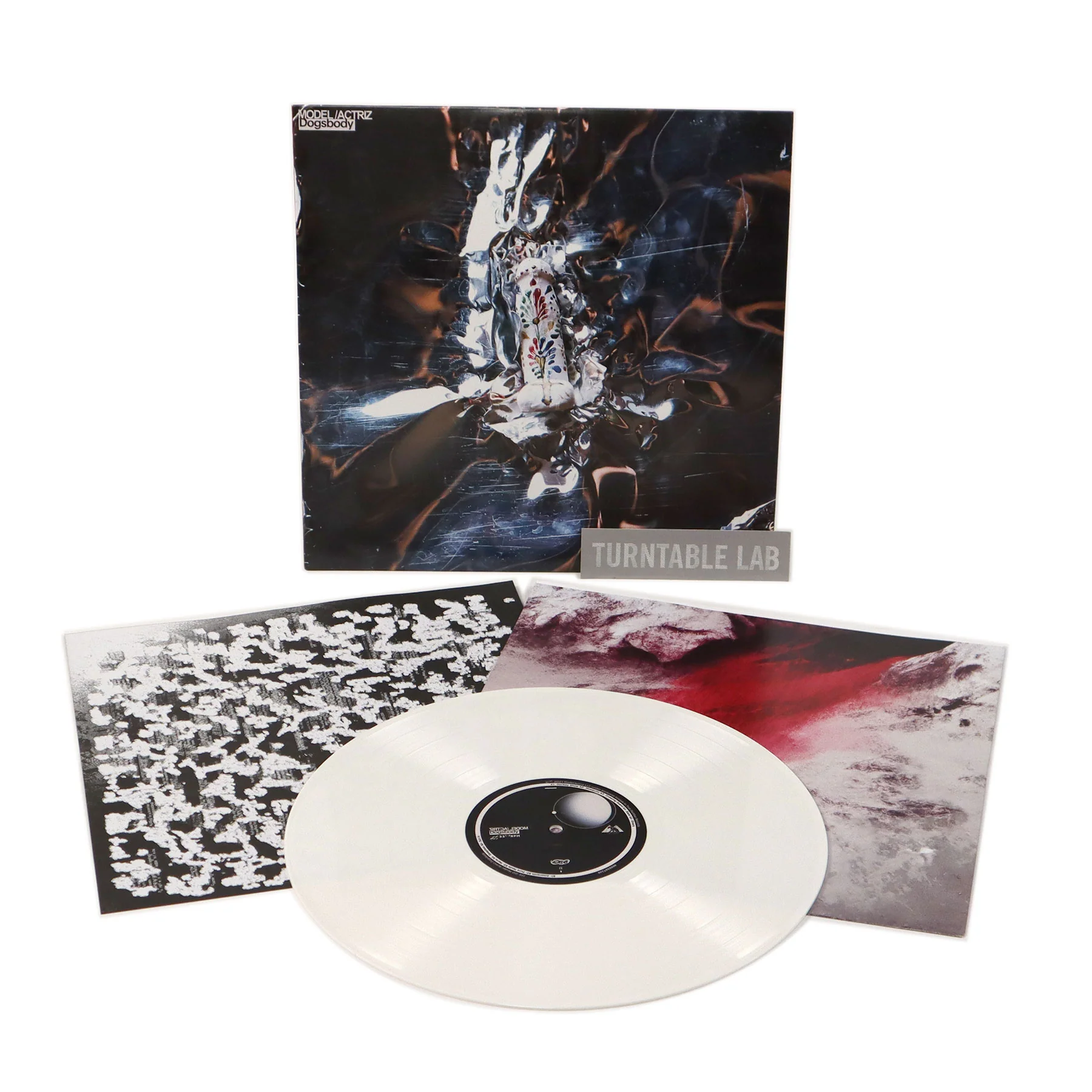 Model/Actriz: Dogsbody (Colored Vinyl) Vinyl LP - Image 2