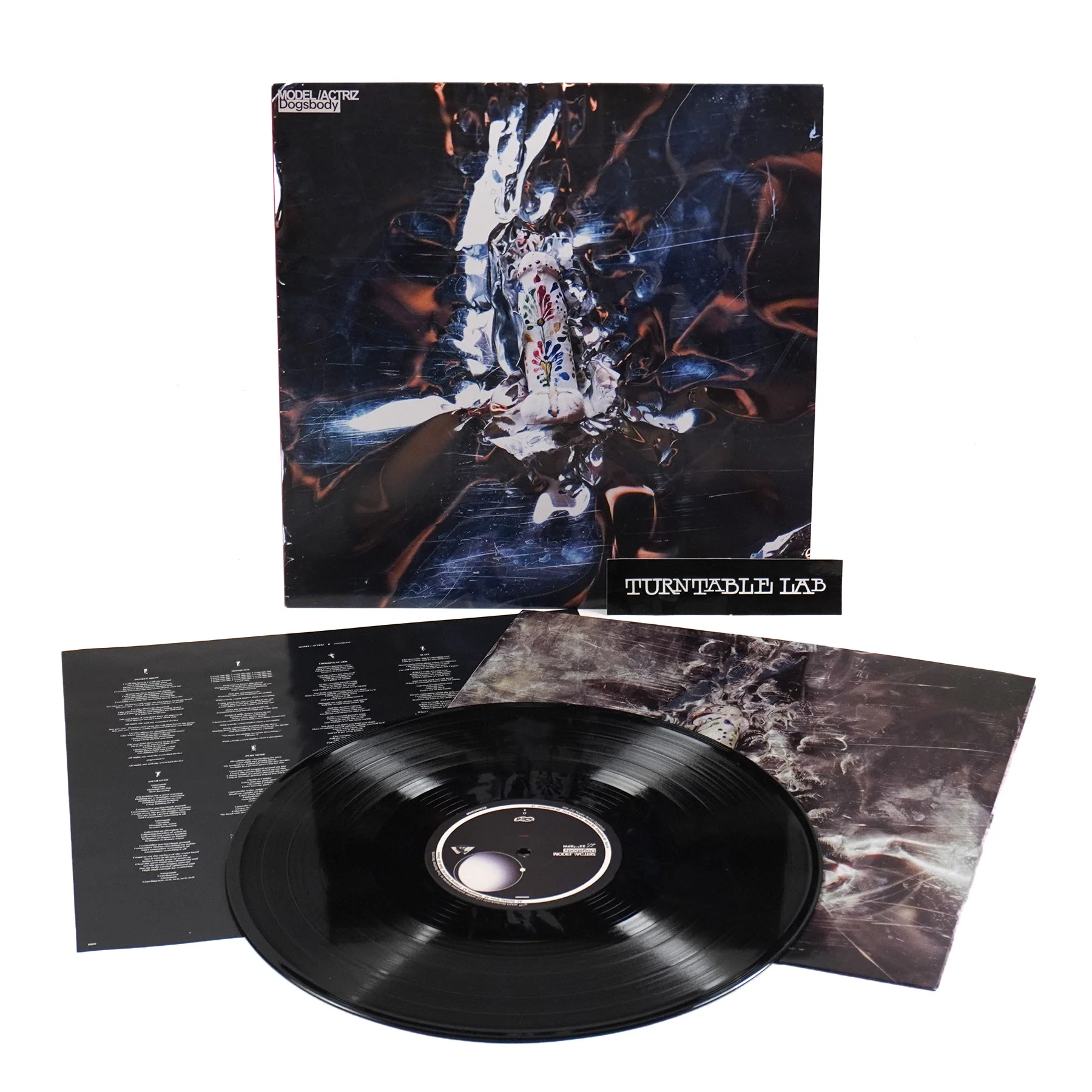 Model/Actriz: Dogsbody Vinyl LP - Image 2